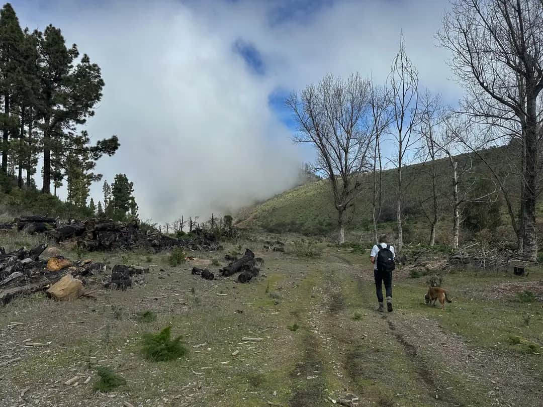 Article summary and large selection of GPS hiking tracks