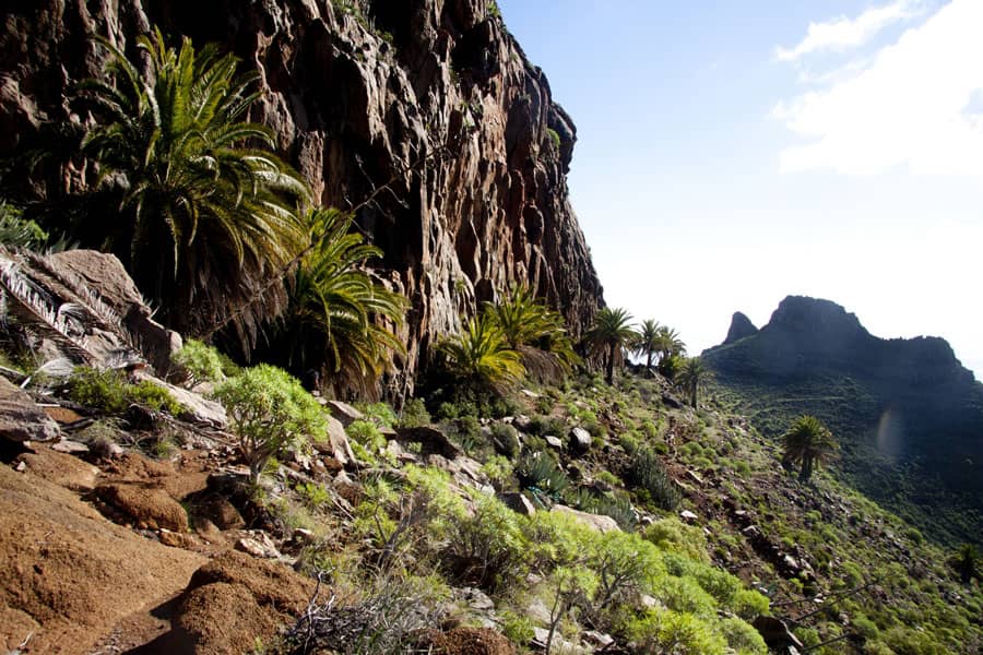 The hiking trail leads along a long rock formation