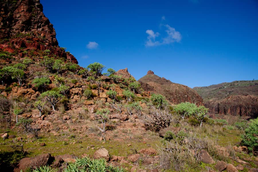 Wild landscape in front of Roque del Sombrero