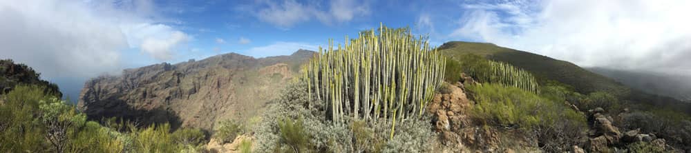 On the ridge. Here is the entrance to the rock gate El Bujero