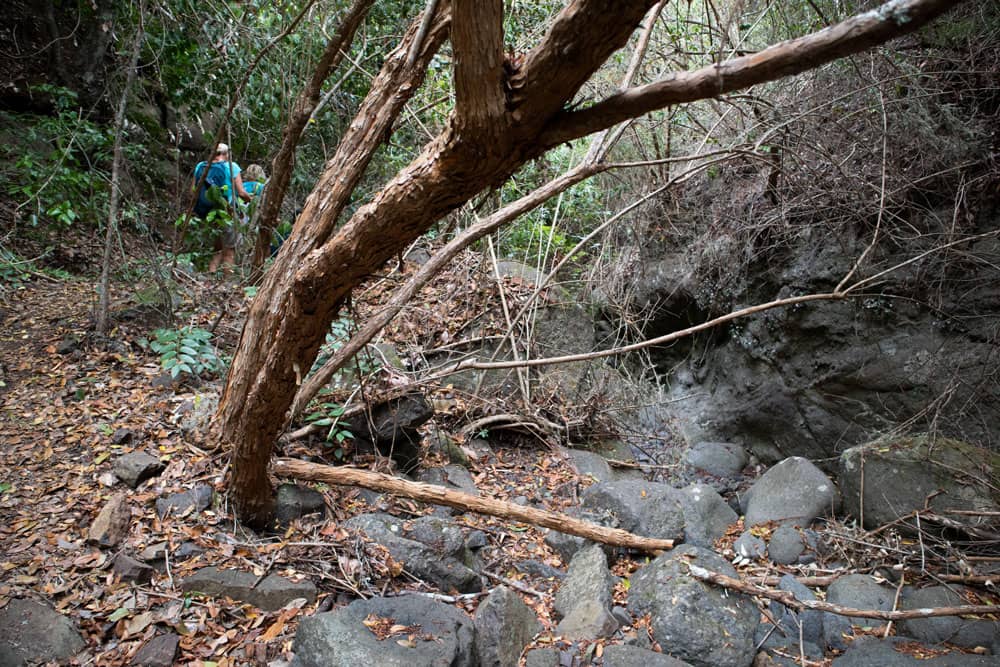 Barranco de los Cochinos