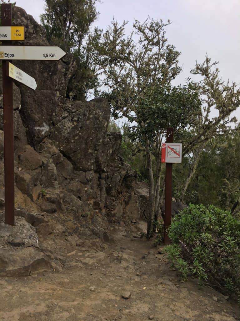 Laurel forest - junction to Los Silos