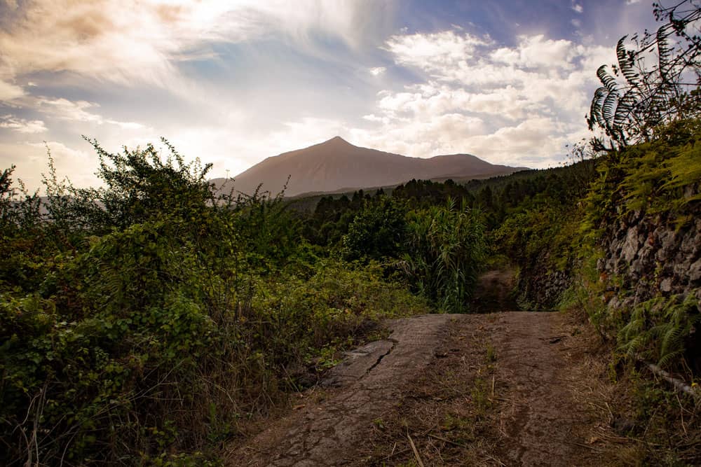 View of the Teide from the hiking trail