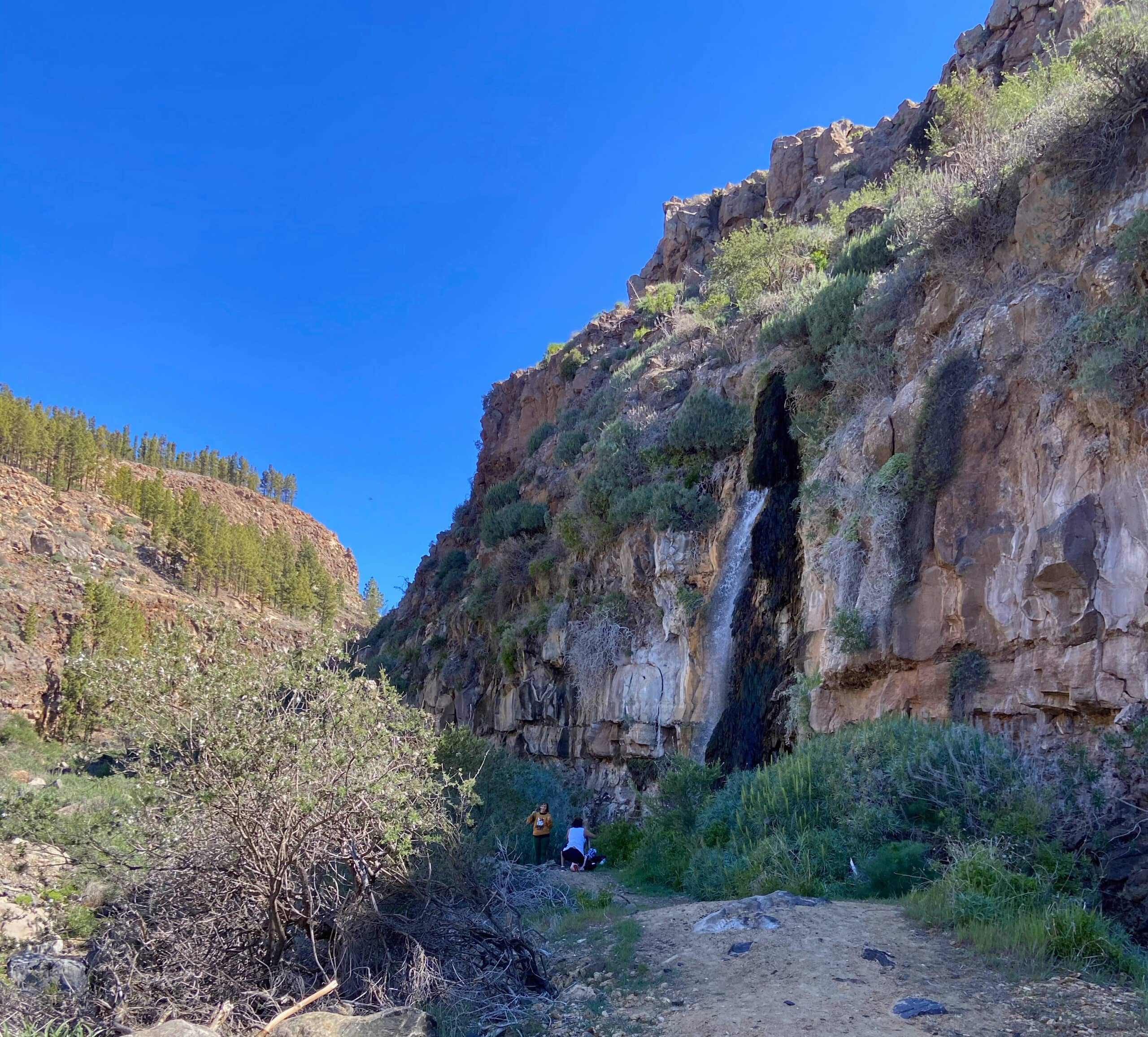 The Cascada de Chindia waterfall