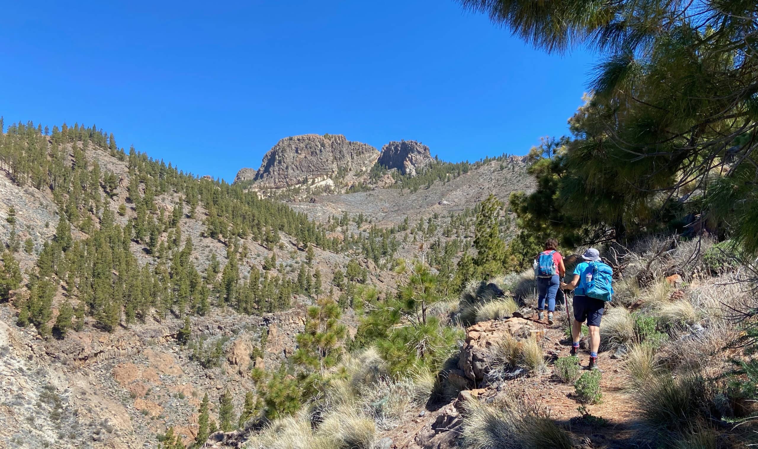 Hiking along the Barranco de Erques - upper end