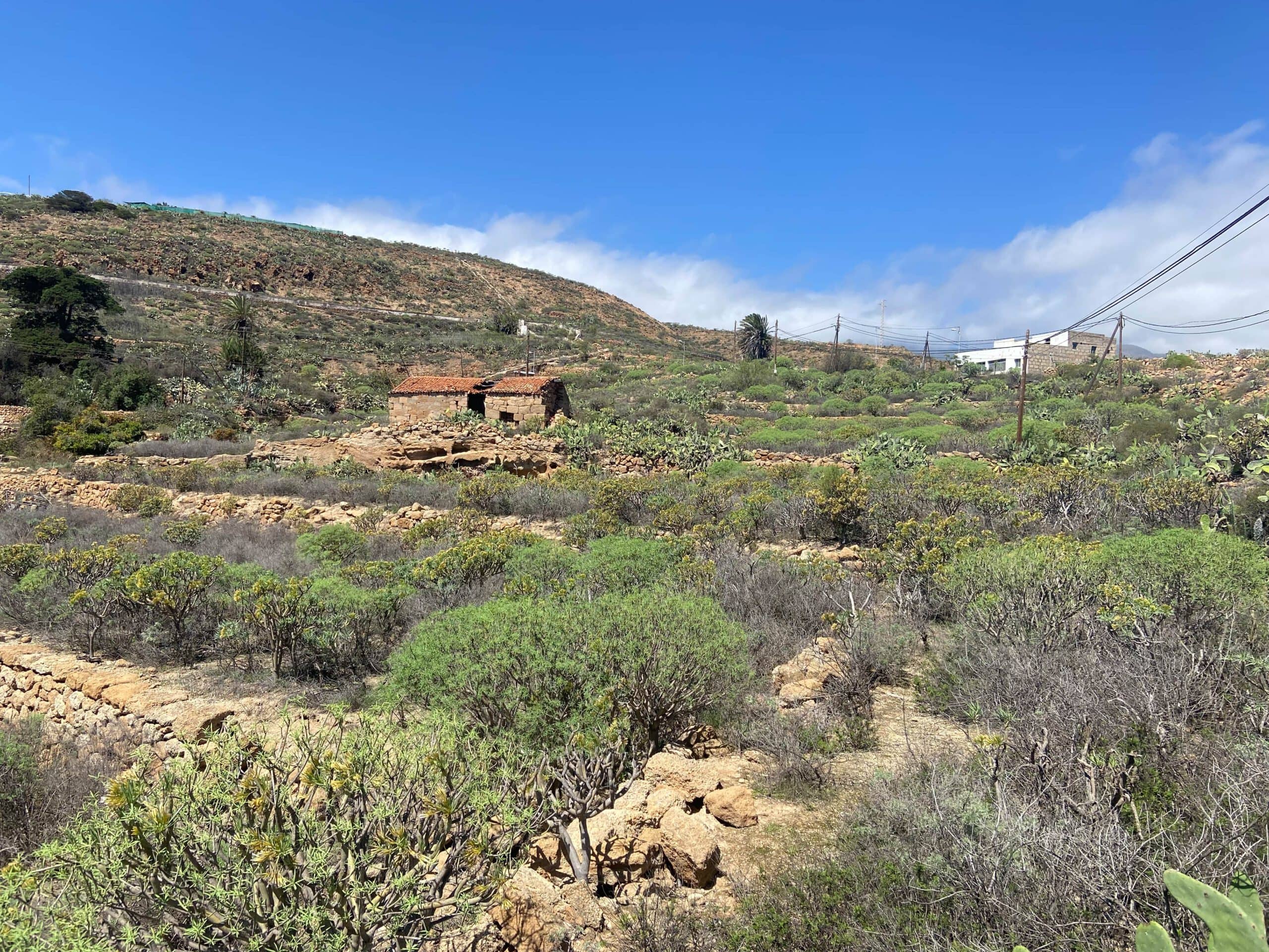 Camino Real del Sur unterhalb der Straße kurz vor El Río