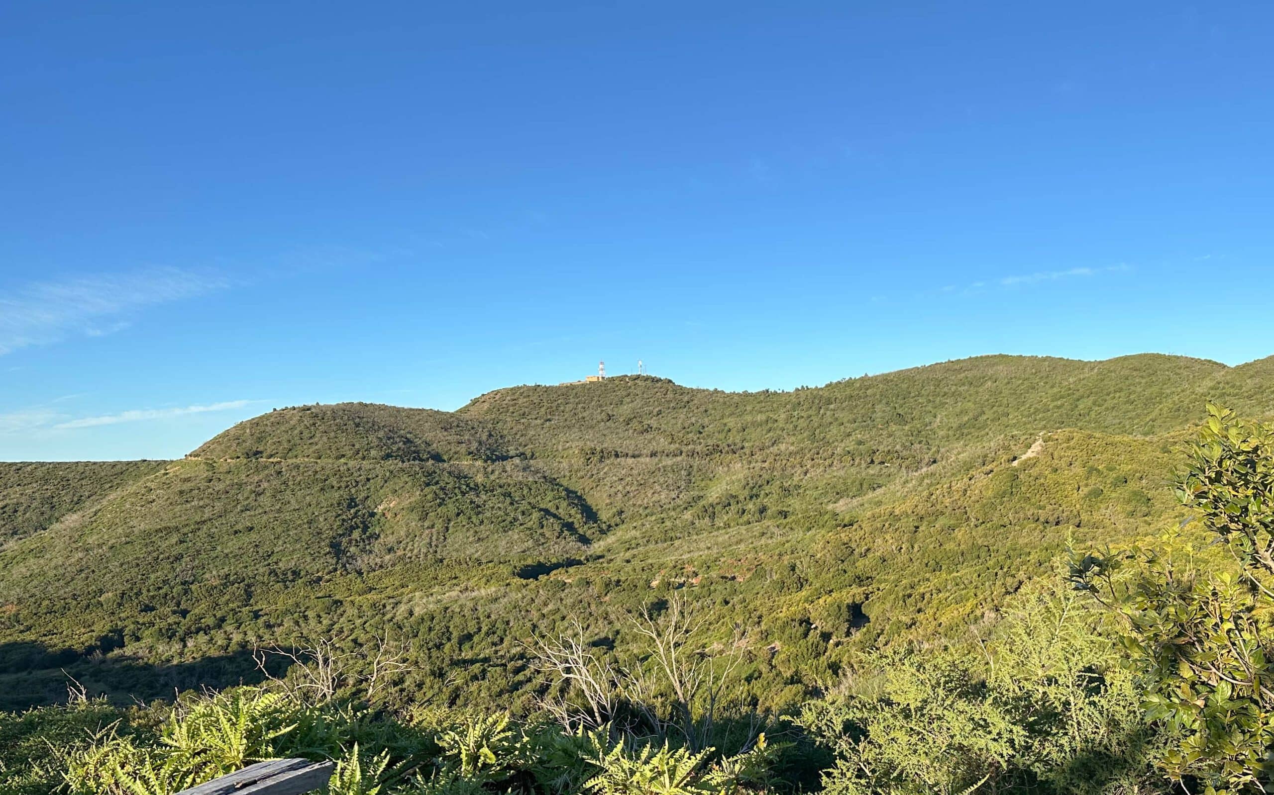 Blick vom Wanderweg zum Garajonay