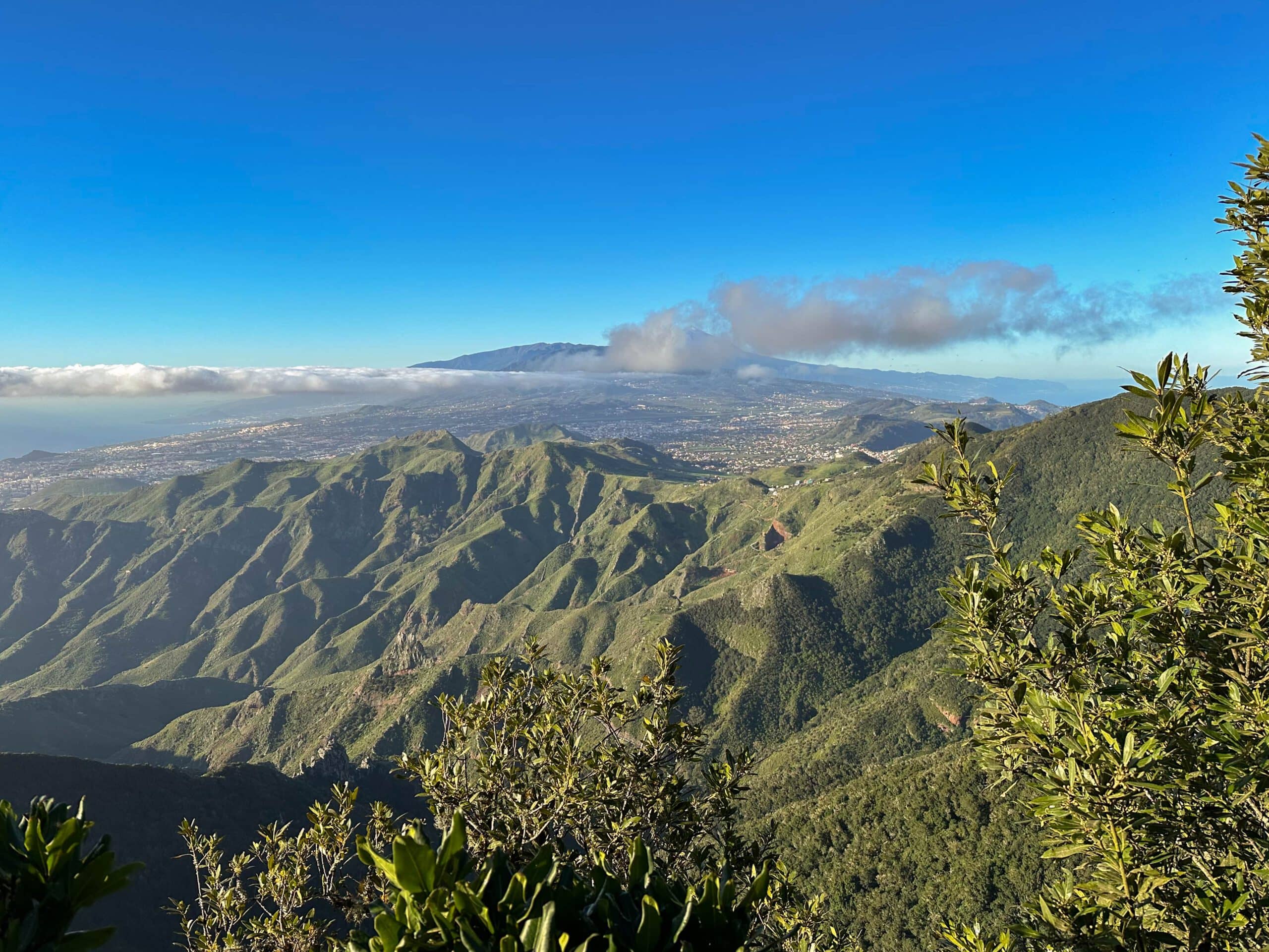 View of La Laguna and the Teide from Pico Inglés