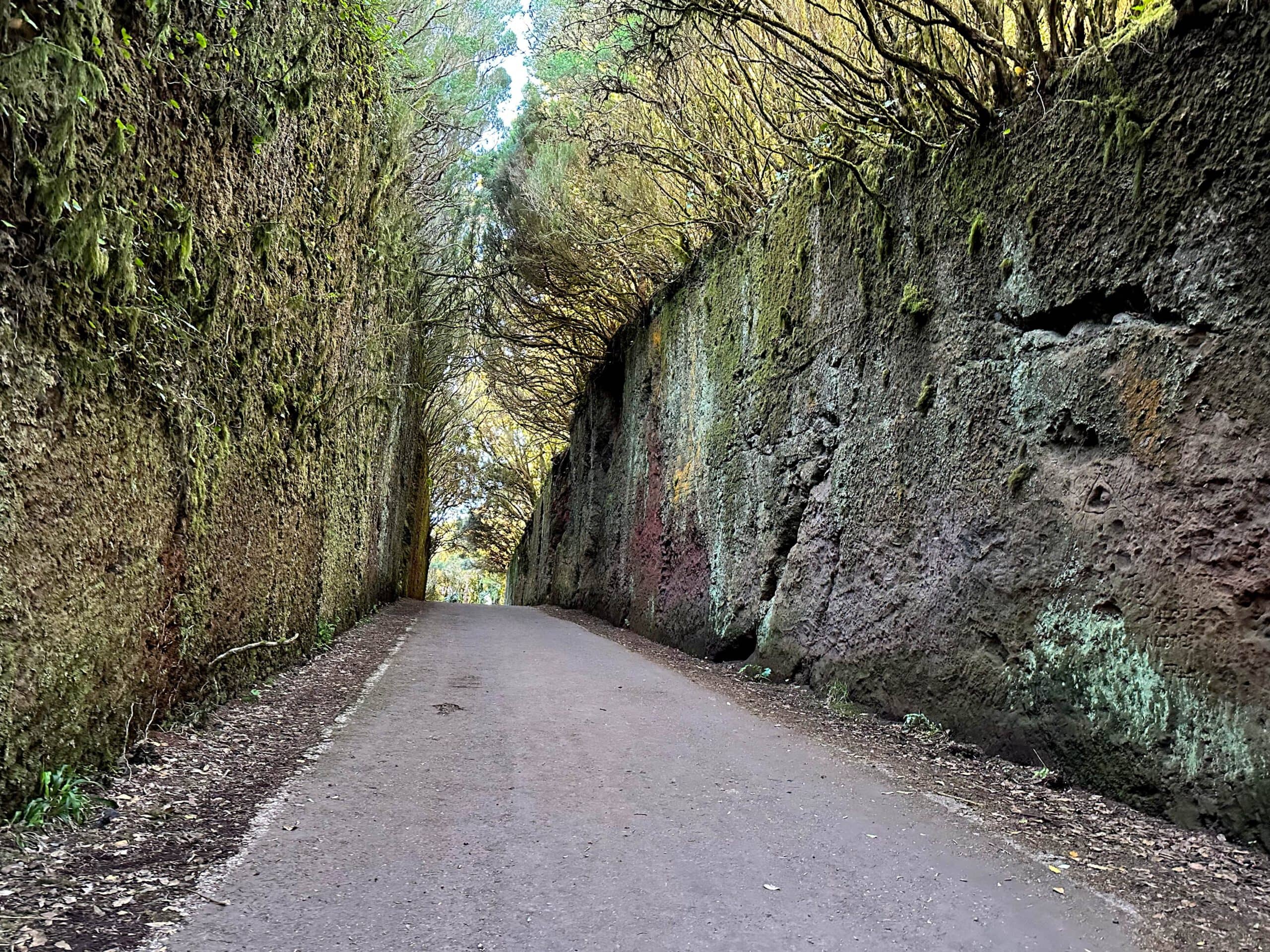 Old high road as part of the hiking trail near Pico Inglés - today an ideal place for photo shoots