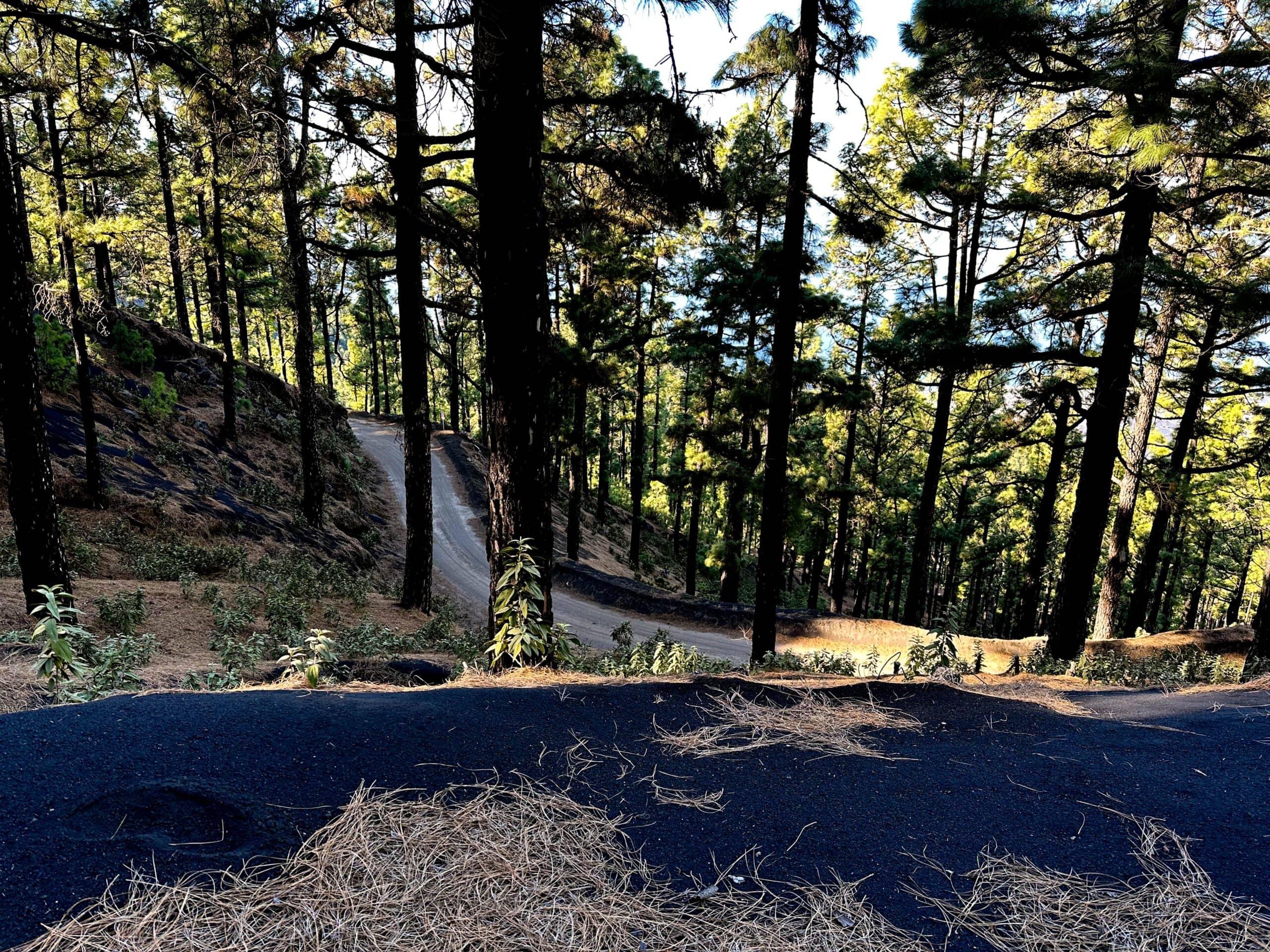 Branch off hiking trail from the road via a narrow path up through the pine forest