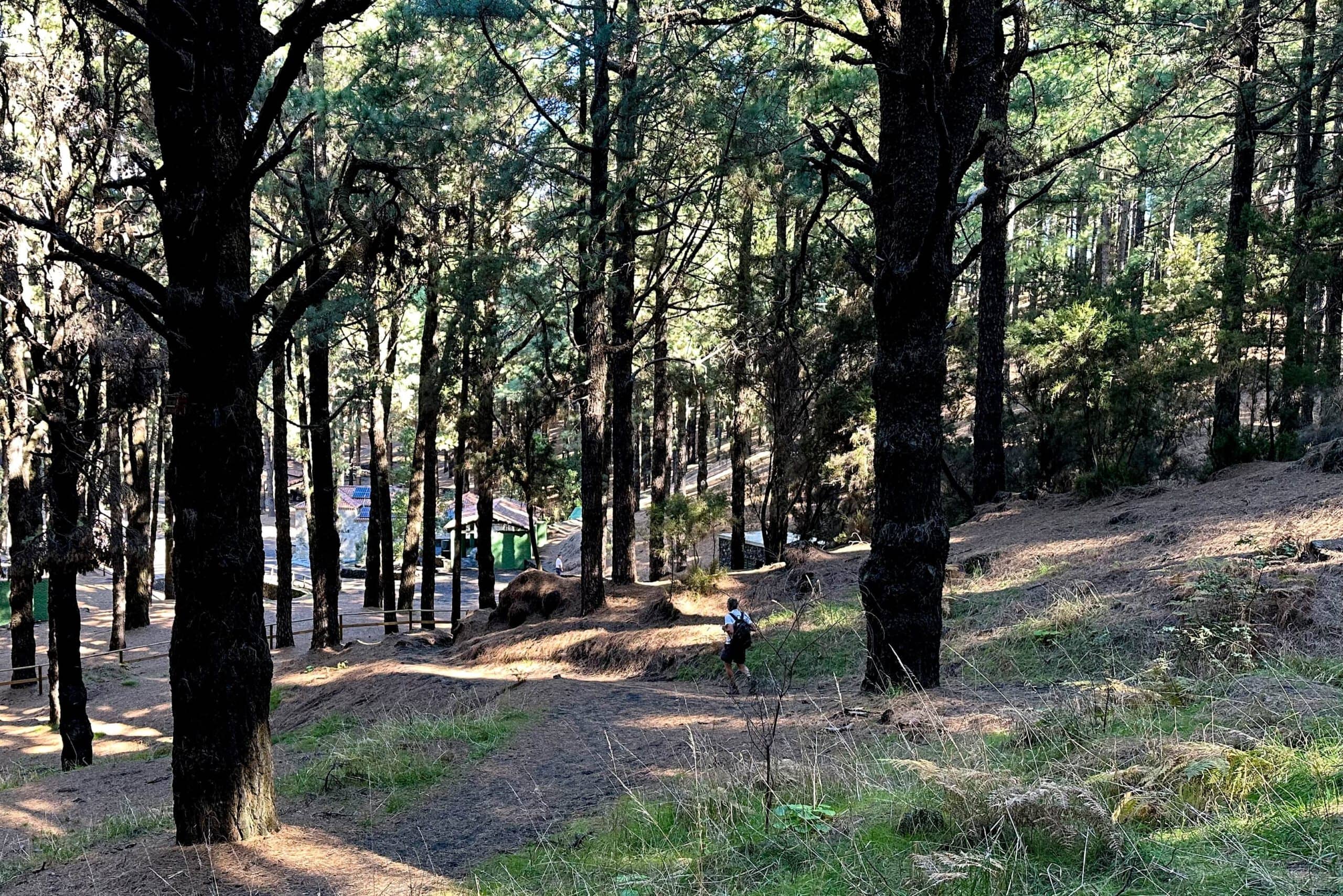 Hiker on the way down to El Pilar