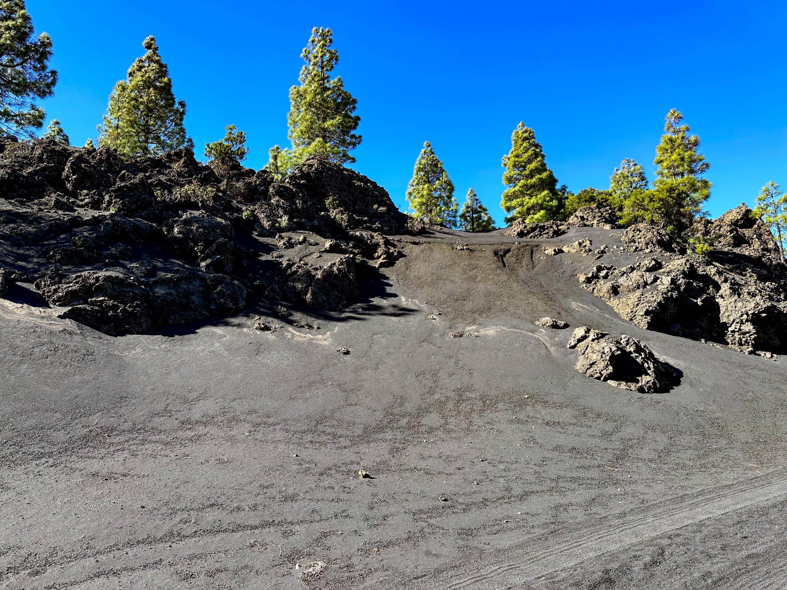 Hiking trail over ash slopes through the pine forest