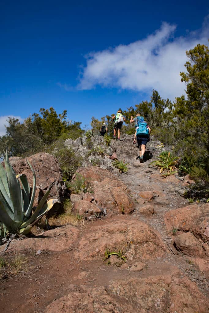 Senderistas en la senda de ascenso por detrás del cruce de El Palmar a la senda de cumbre