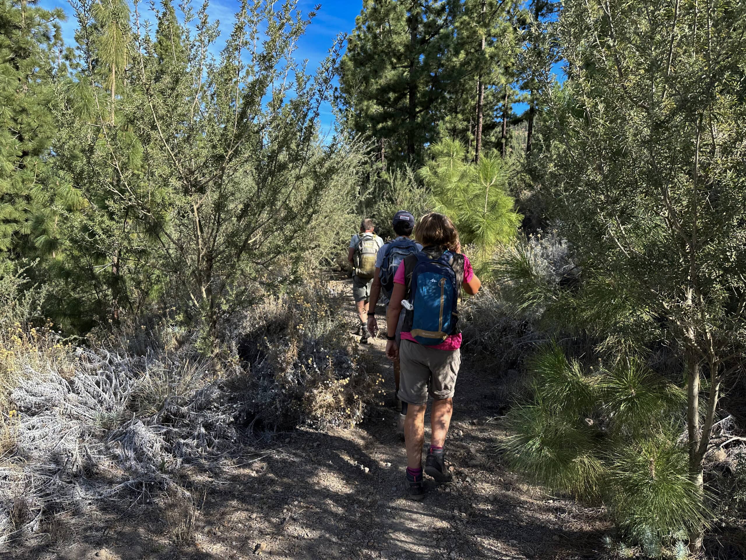 Wanderer auf dem Weg durch den Wald kurz vor dem Refugio de Chasogo