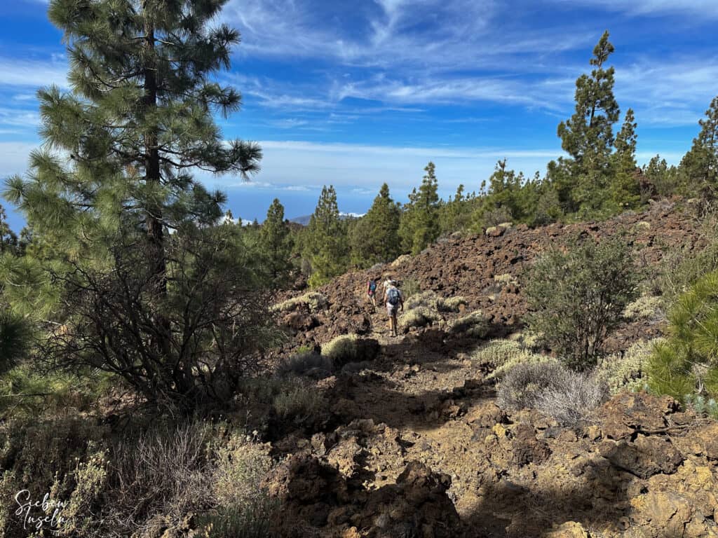 Senderistas en el sendero de descenso por debajo del Refugio de Chasogo hacia Chirguergue
