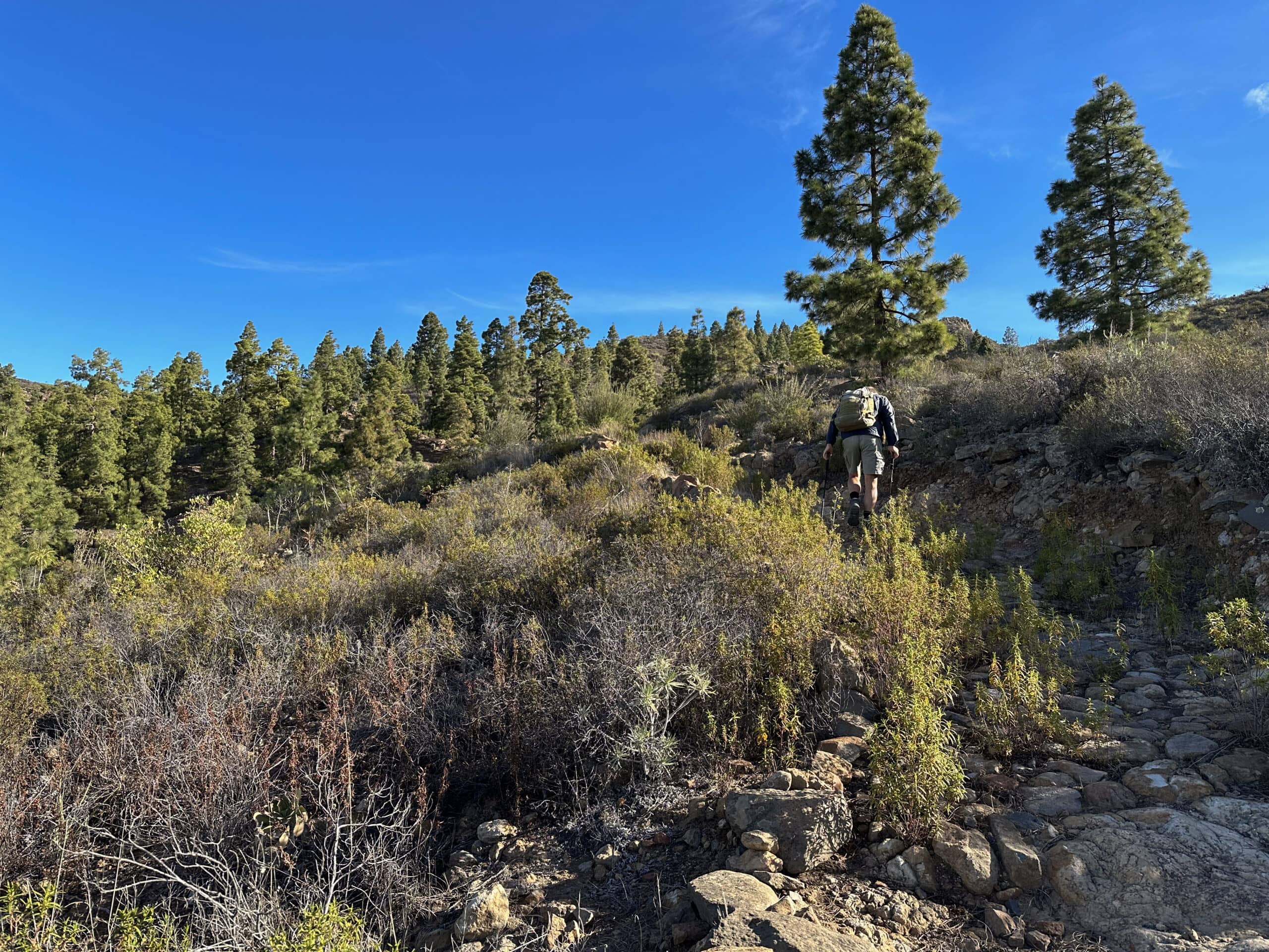 Sendero pedregoso cuesta arriba hacia el Refugio de Chasogo
