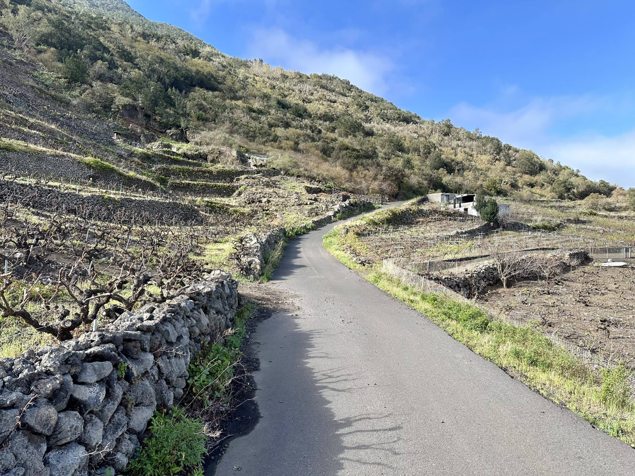 Calle de los Corchos über la Frontera - auf der Straße geht es durch Weinanbaugebiet