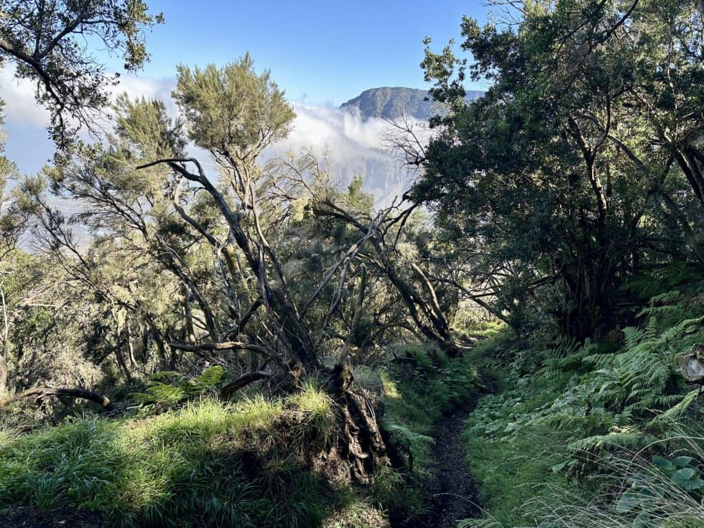 Aufstiegsweg über La Frontera - Camino San Salvador