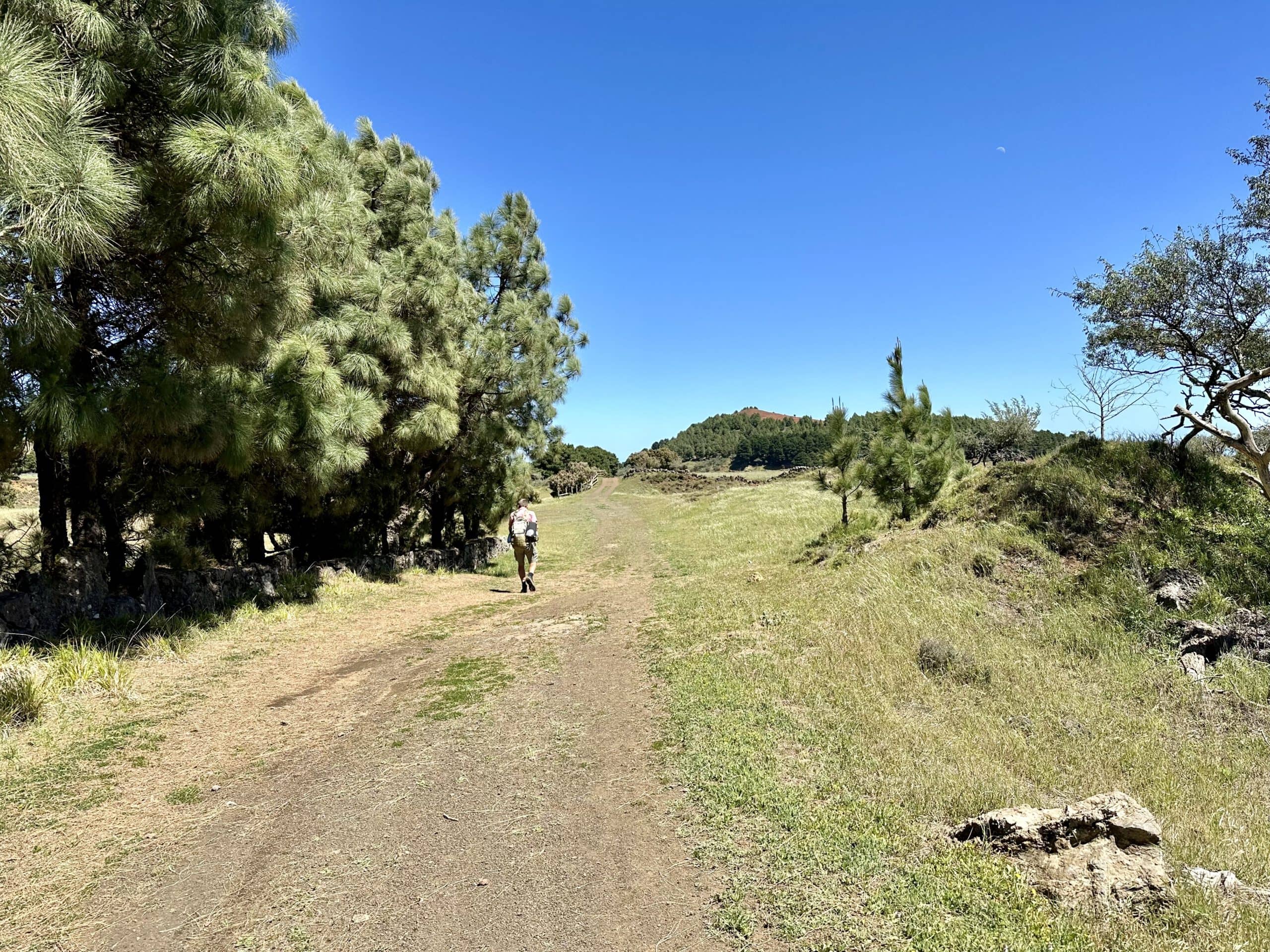 Zurück auf der Cumbre auf dem Wanderweg GR-132 Richtung San Andrés