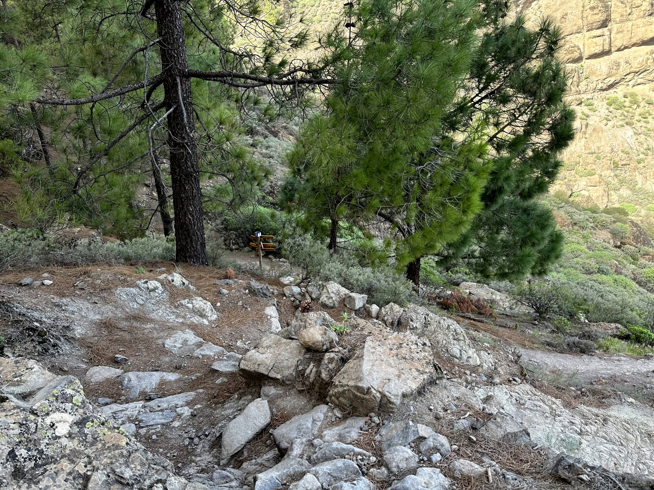 Senda de descenso hacia La Culata por debajo del Roque Nublo
