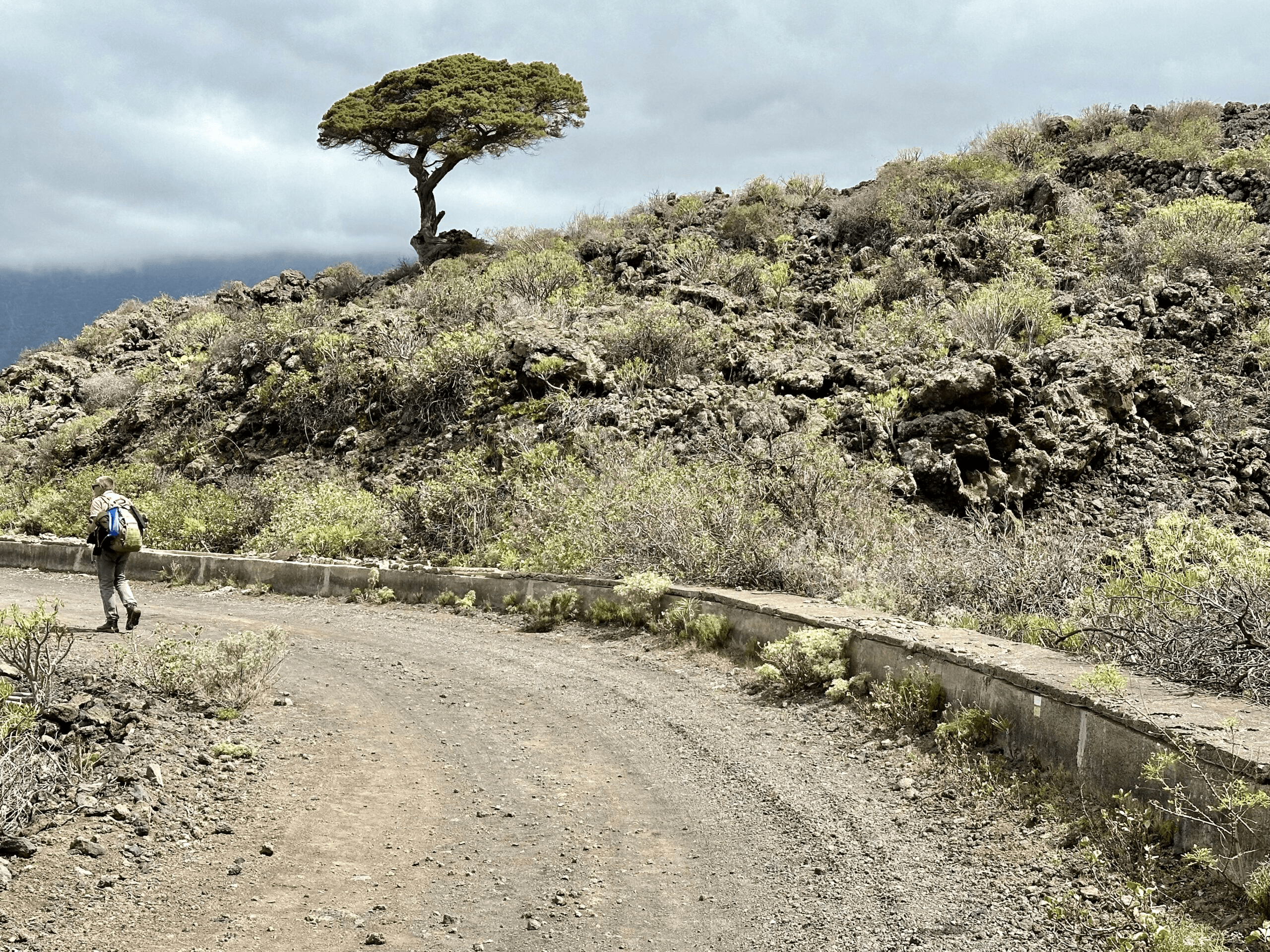 Ruta de senderismo a lo largo del canal - Calle El Canal a La Frontera