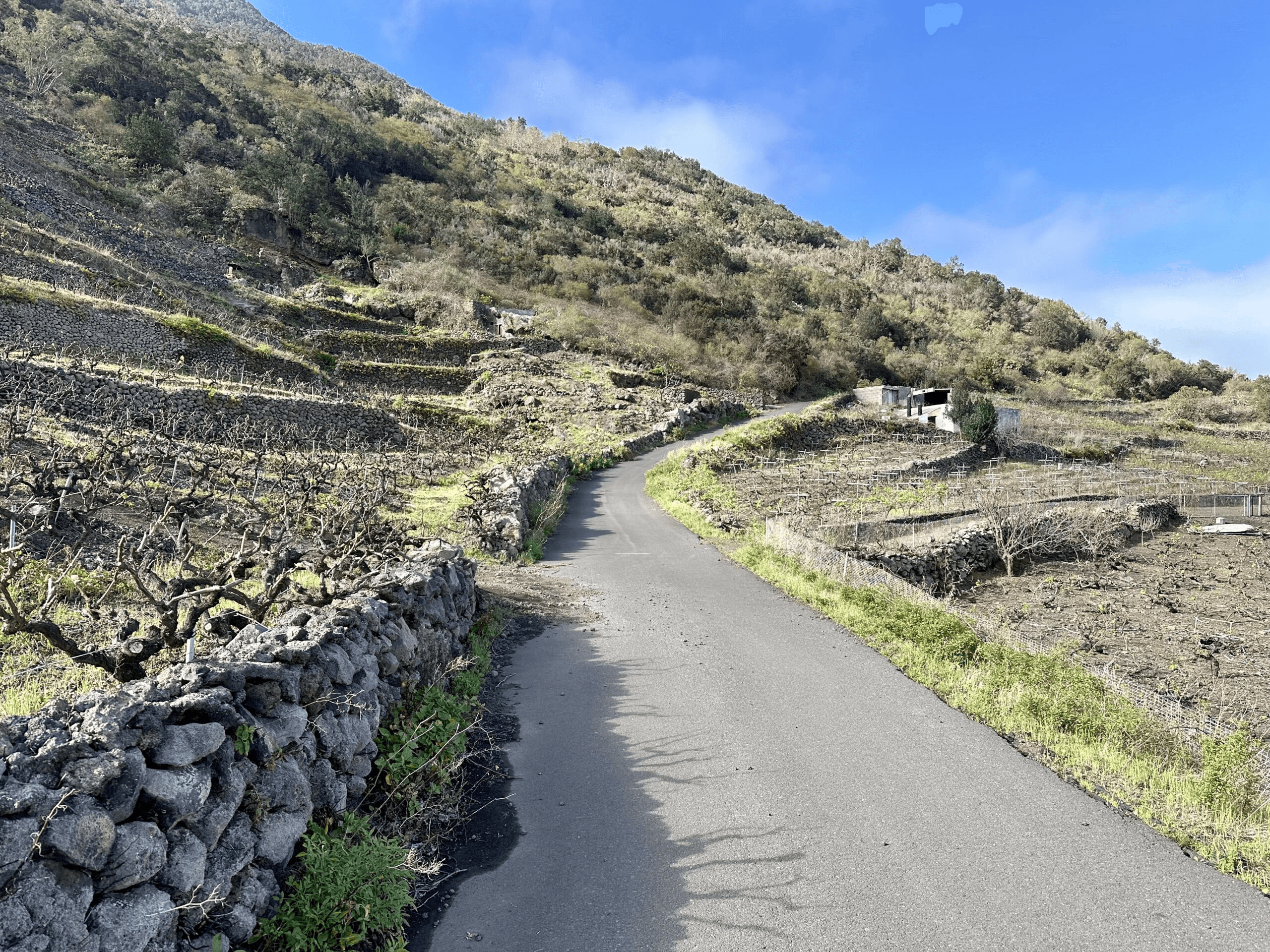 Calle de los Corchos sobre La Frontera - la carretera atraviesa zonas vinícolas