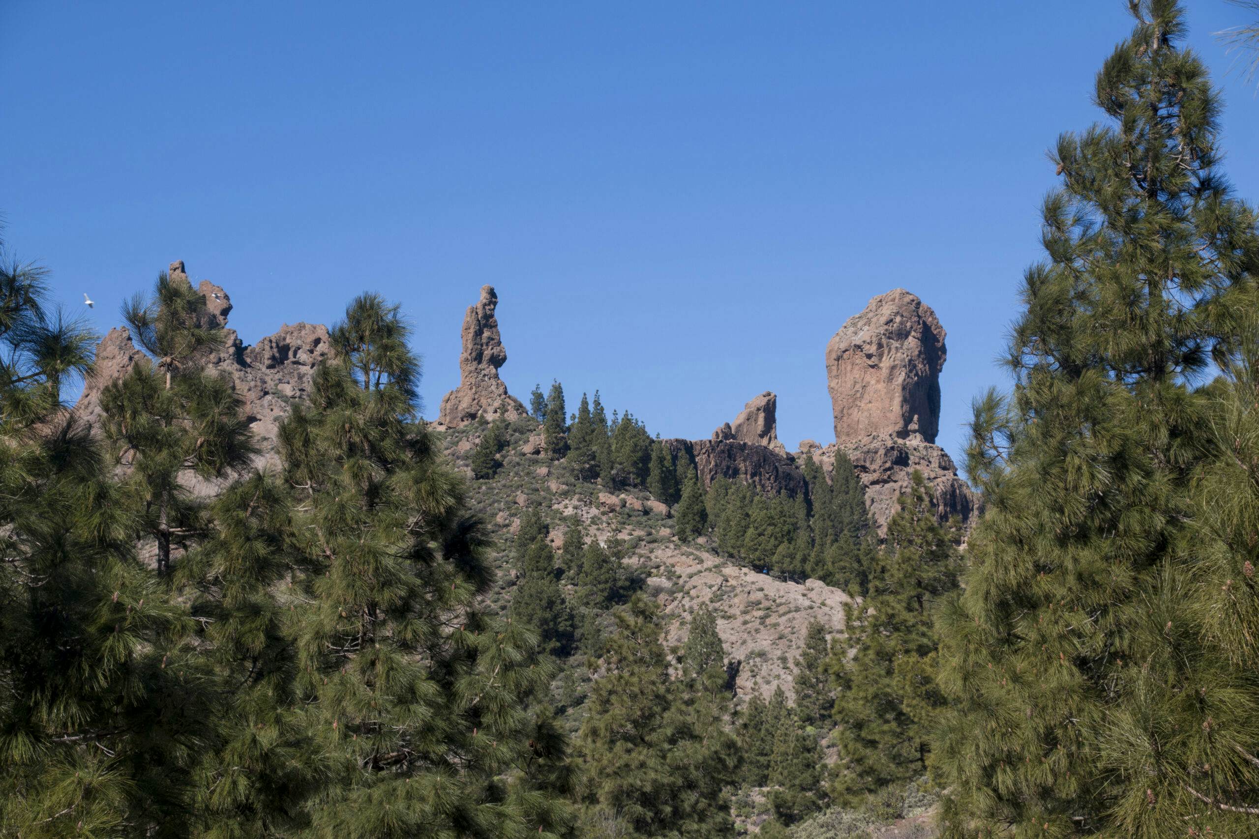 Rock formations next to the Roque Nublo