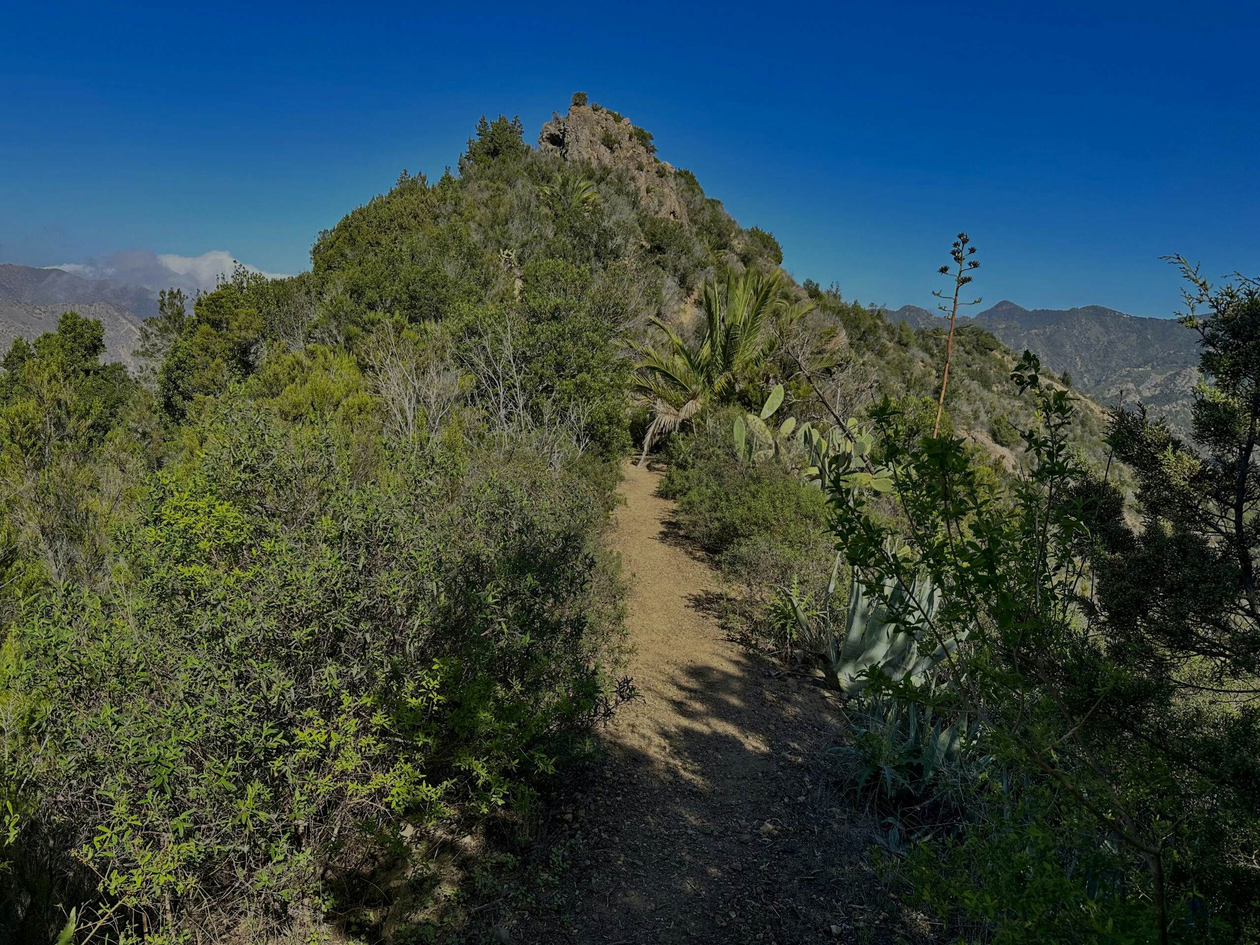 Hiking trail up to the ridge 