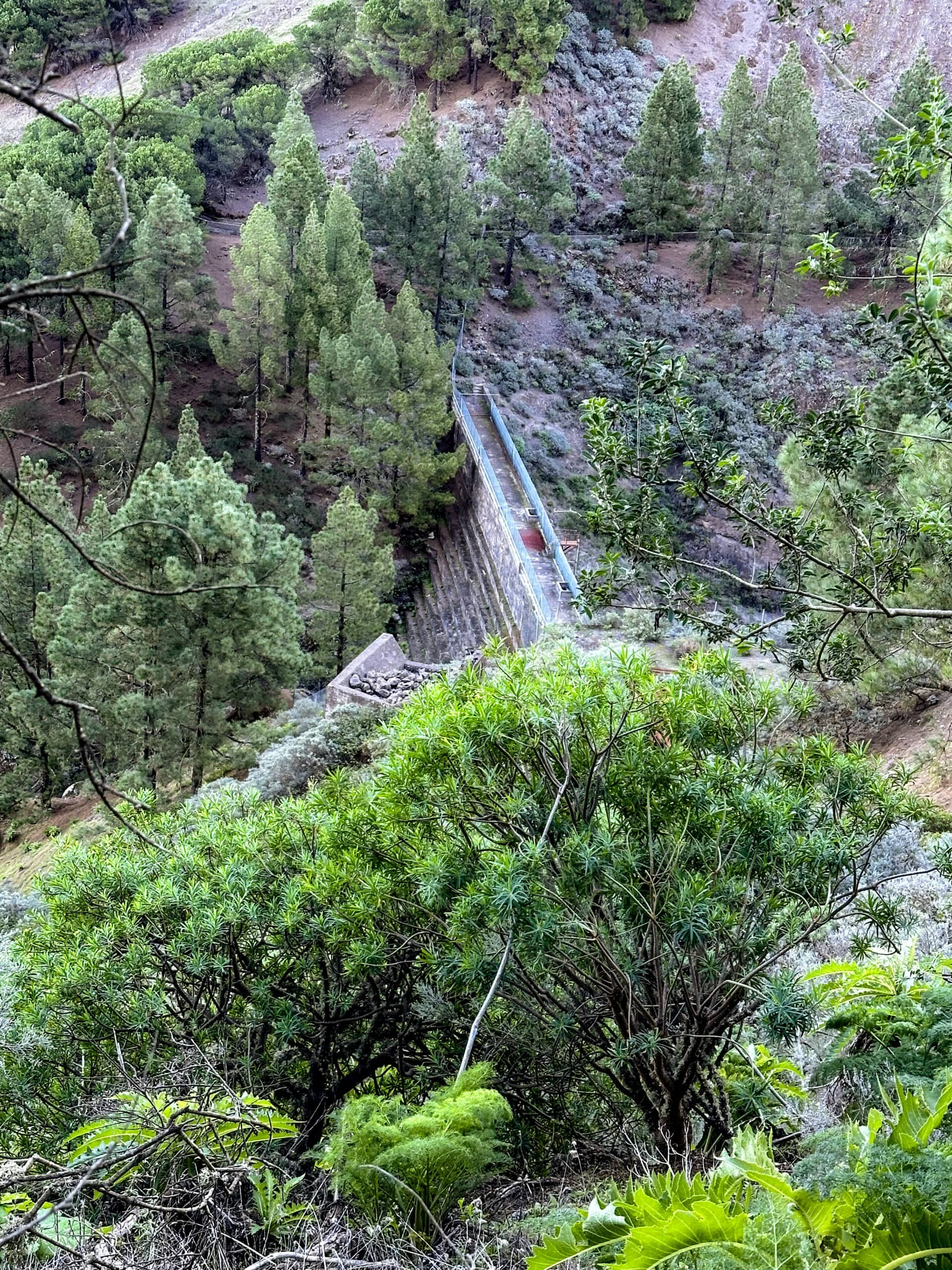 Presa de la Lechucilla auf der linken Seite des Wanderweges S-20