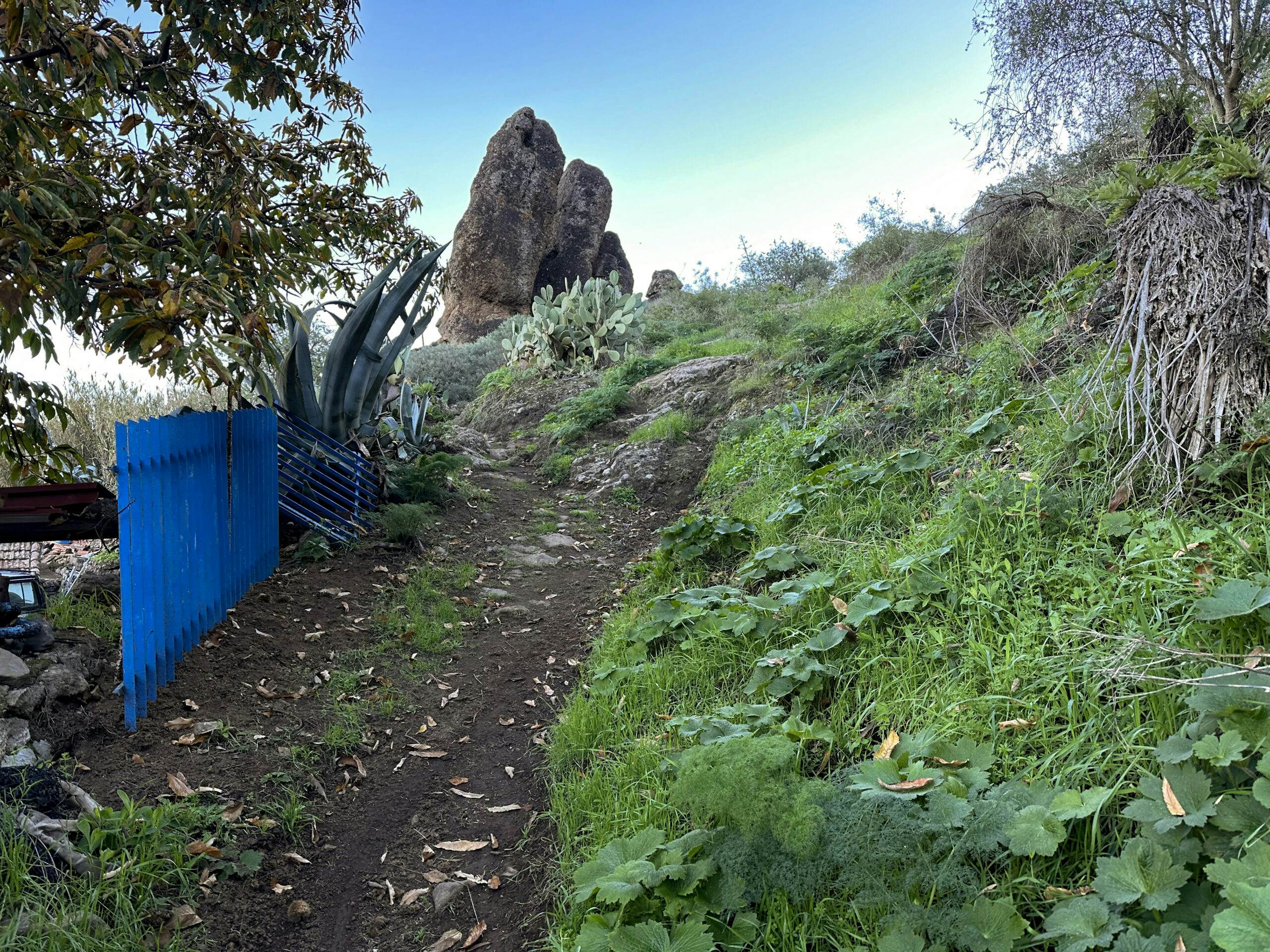 Senda de ascenso por La Lechucilla a las peñas de Los Roquetes