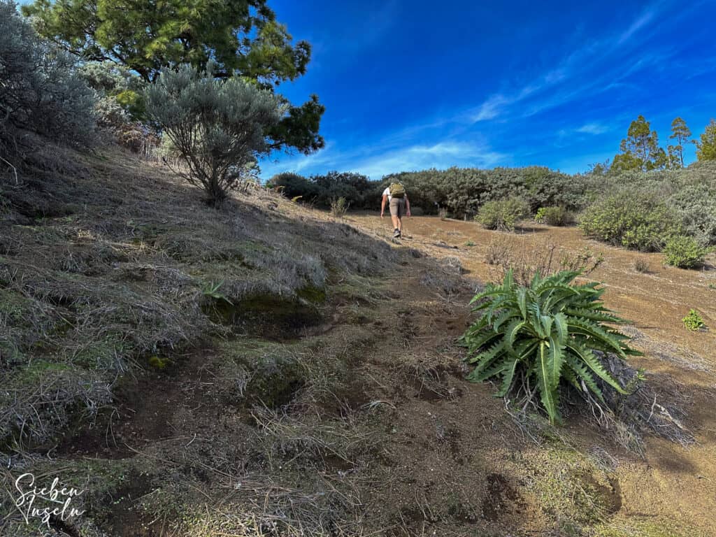 Hiker on the steep ascent path to the Degollada de las Arenas