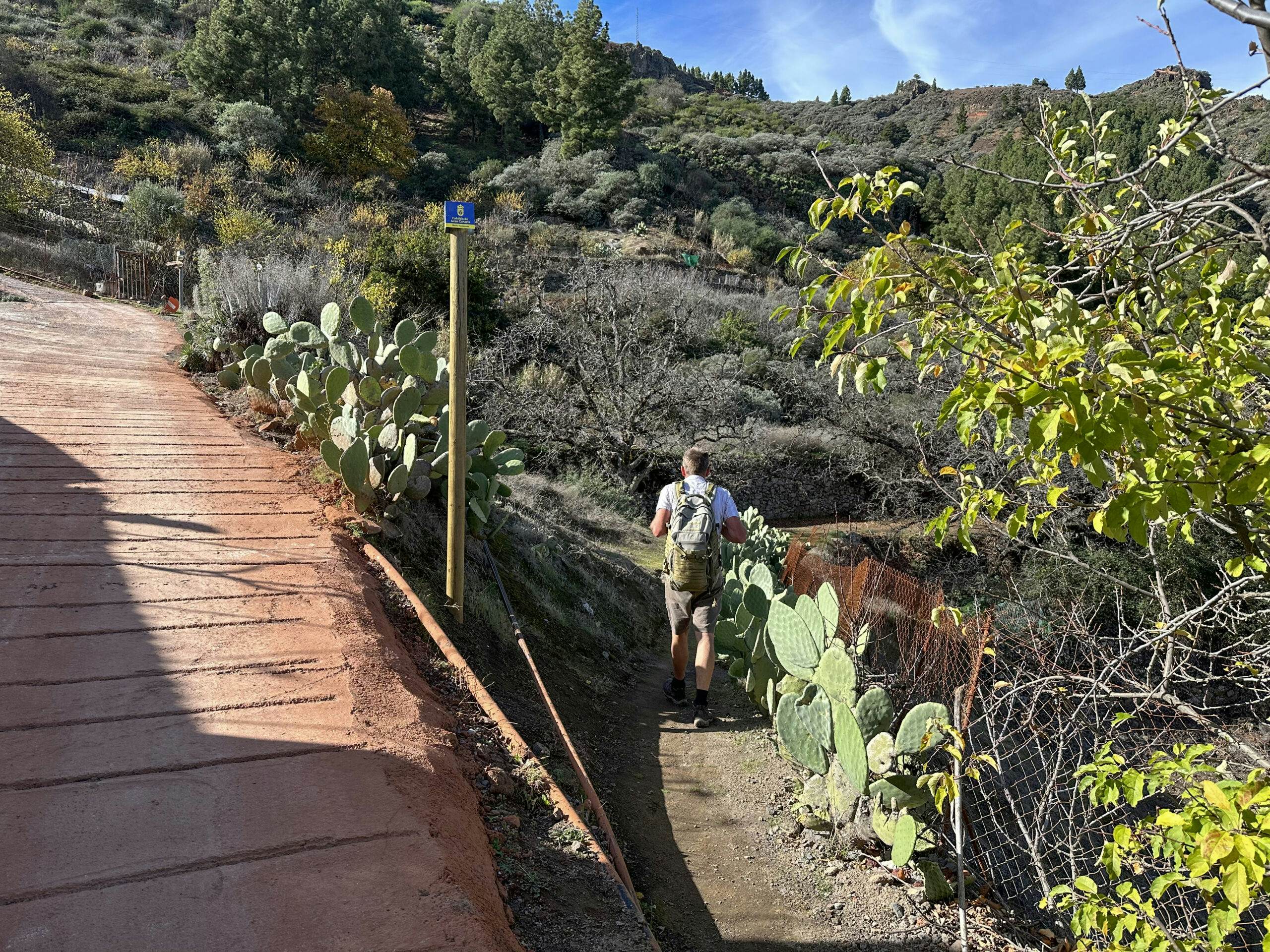 Abzweig Wanderweg vom Betonwanderweg S-20 bei Caserío Lomito Blanco Richtung Cueva Grande 