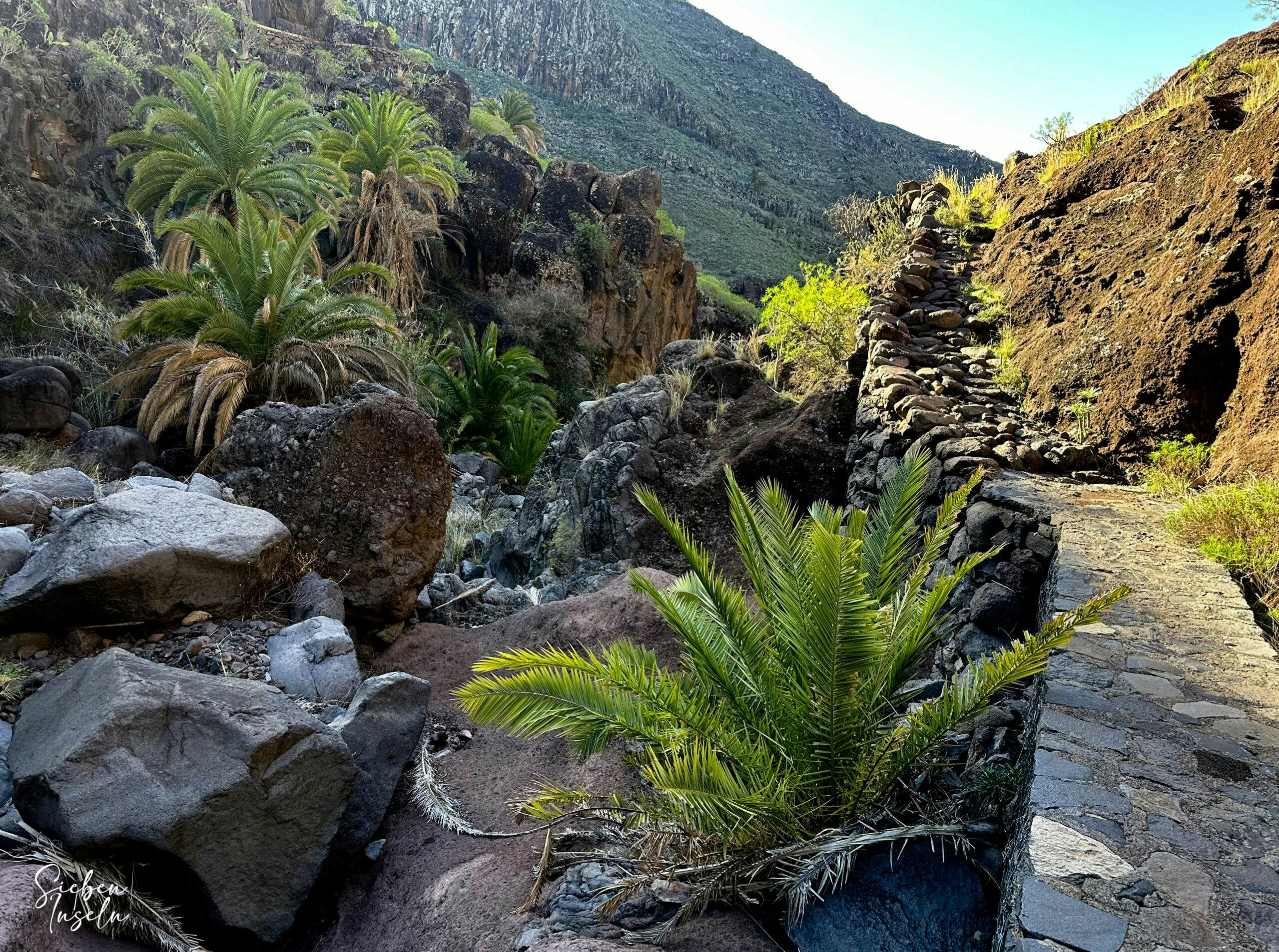 Hiking trail GR-132 6th stage through Barranco de la Negra between Playa Rajita and Alajeró