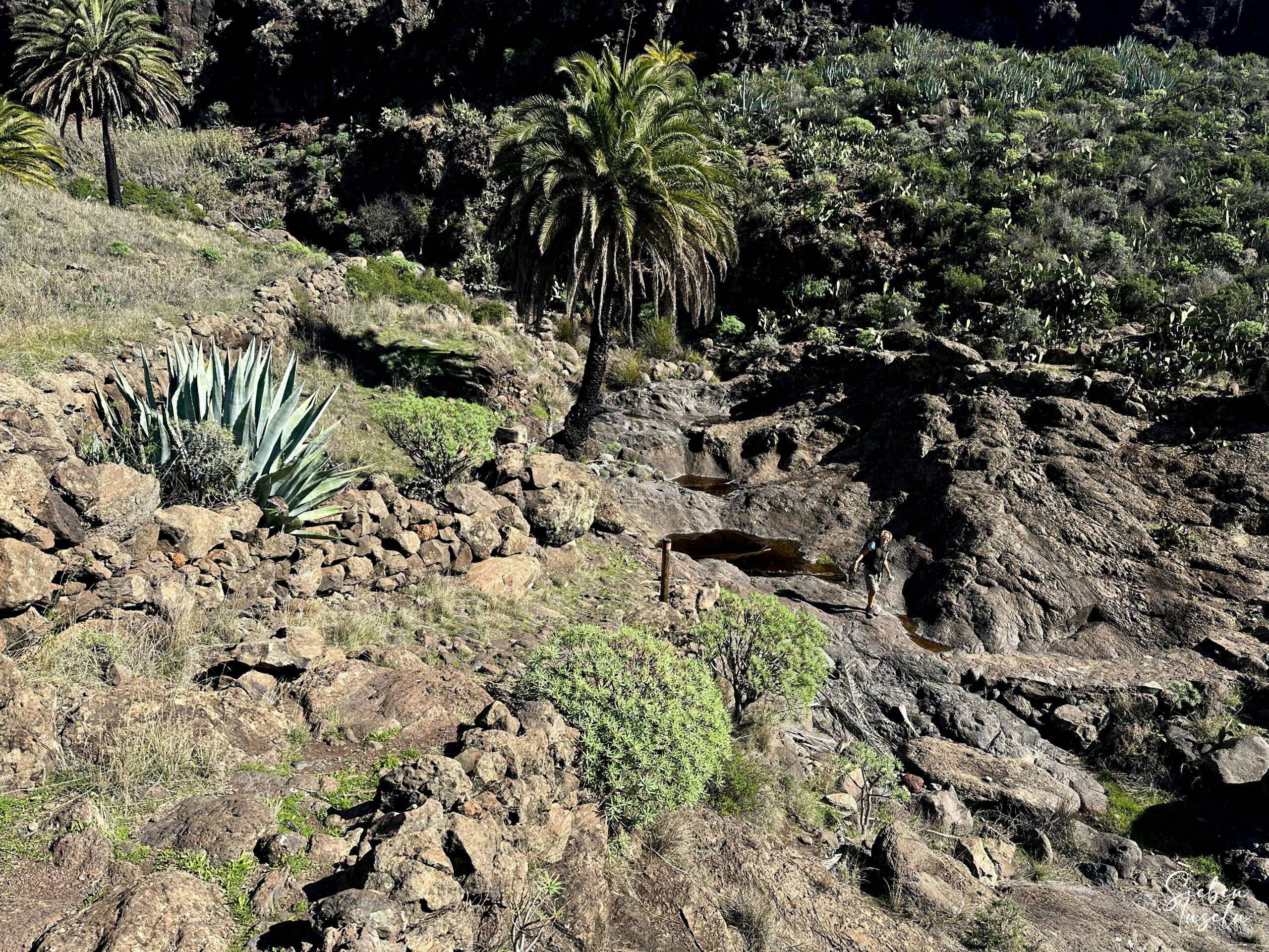 Hiker on the GR-132 hiking trail, stage 6, crossing the Barranco before Alajeró