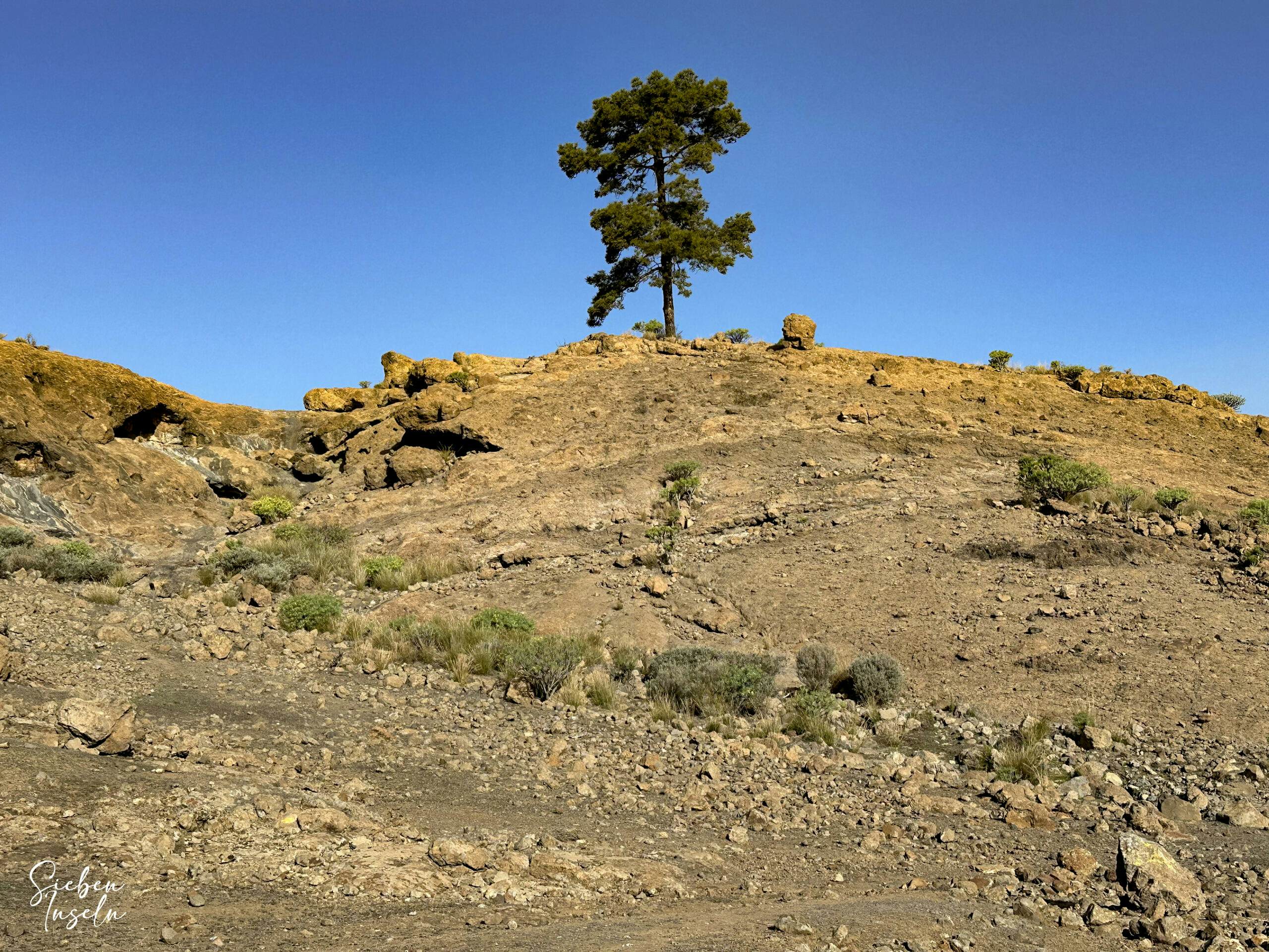 Hiking trail below the Cuevas de Majada Alta