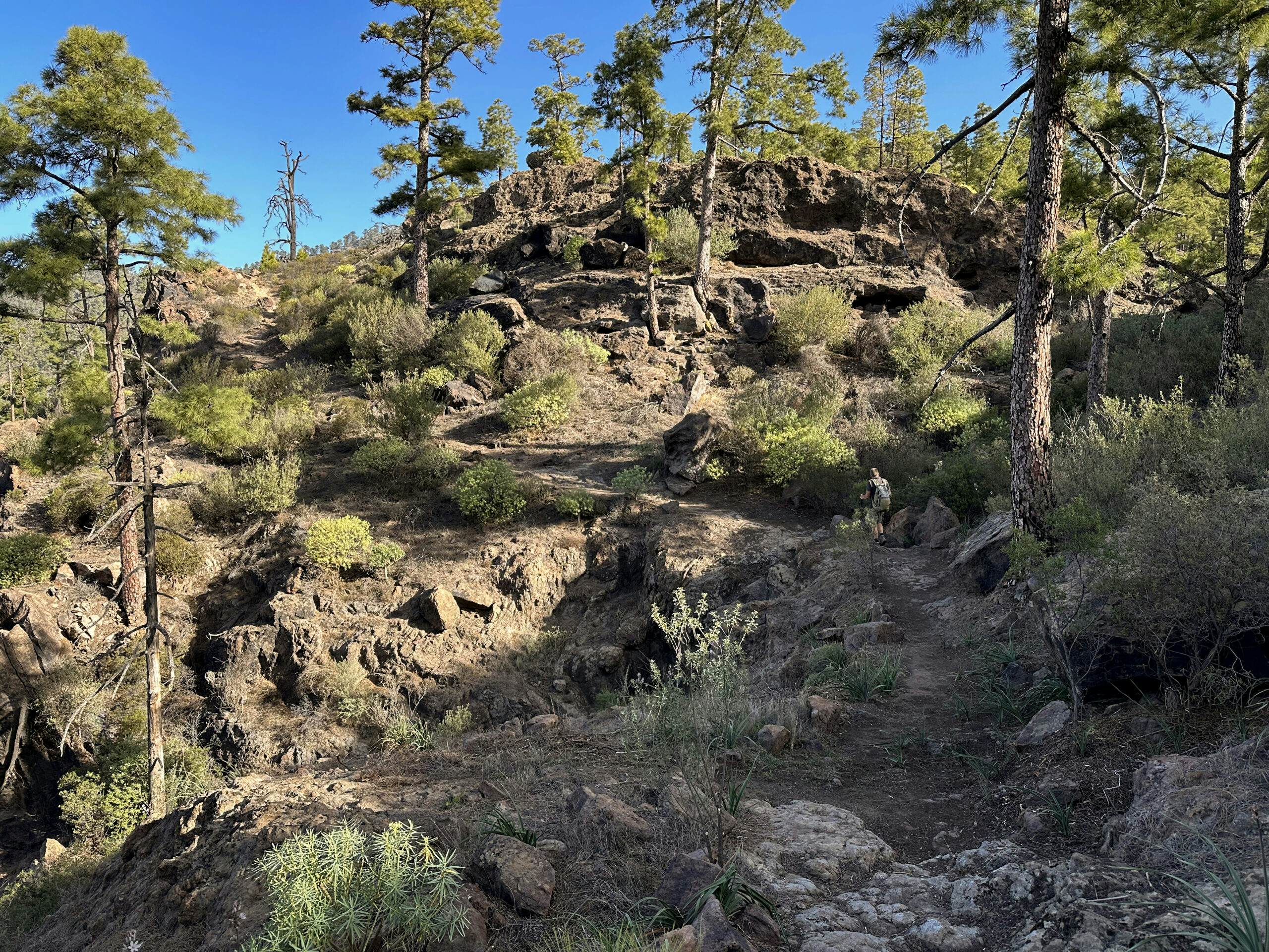 Wanderweg durch das Naturschutzreservat Inagua