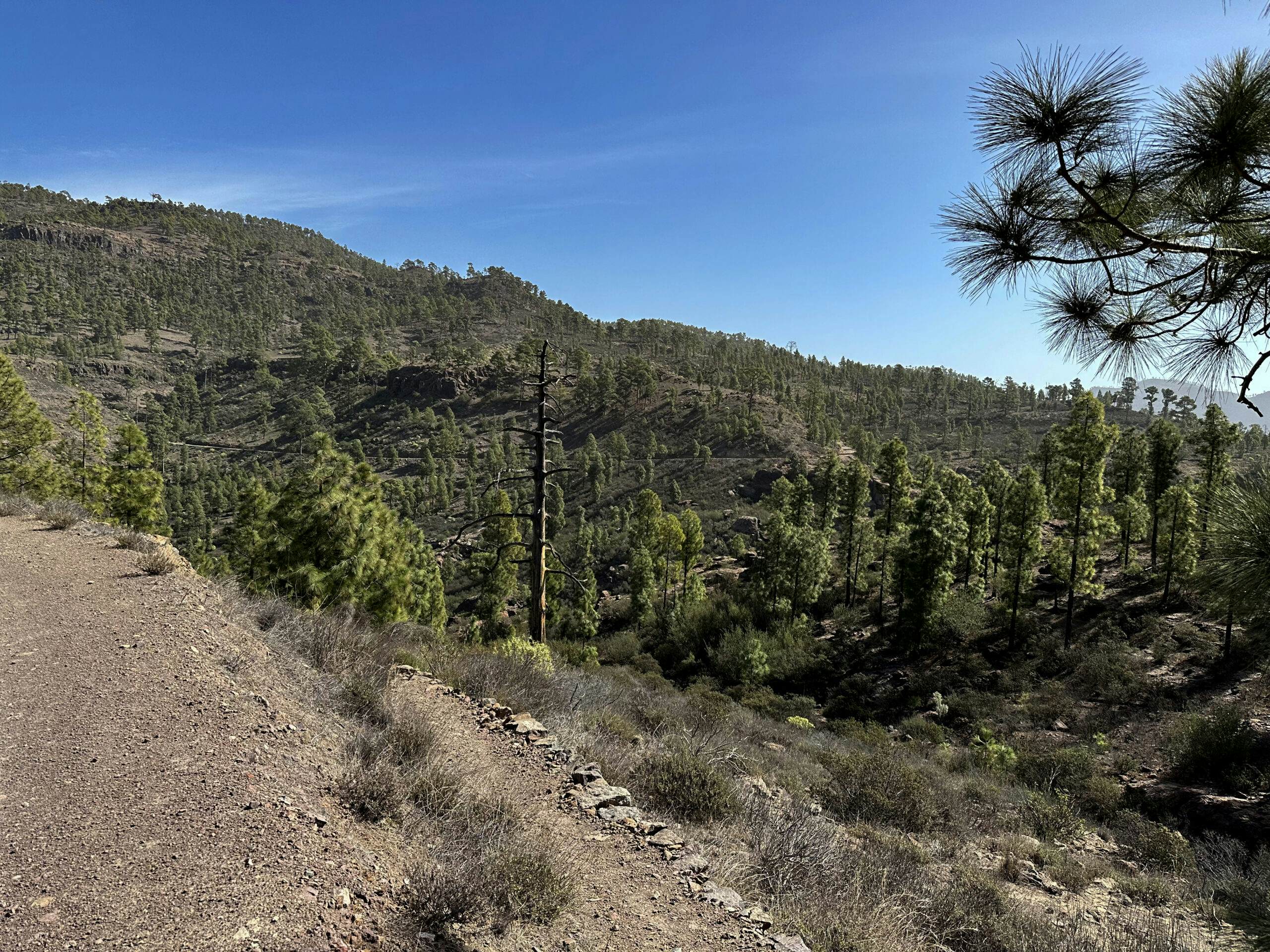 Turn-off from the track down into the Barranco de la Manta