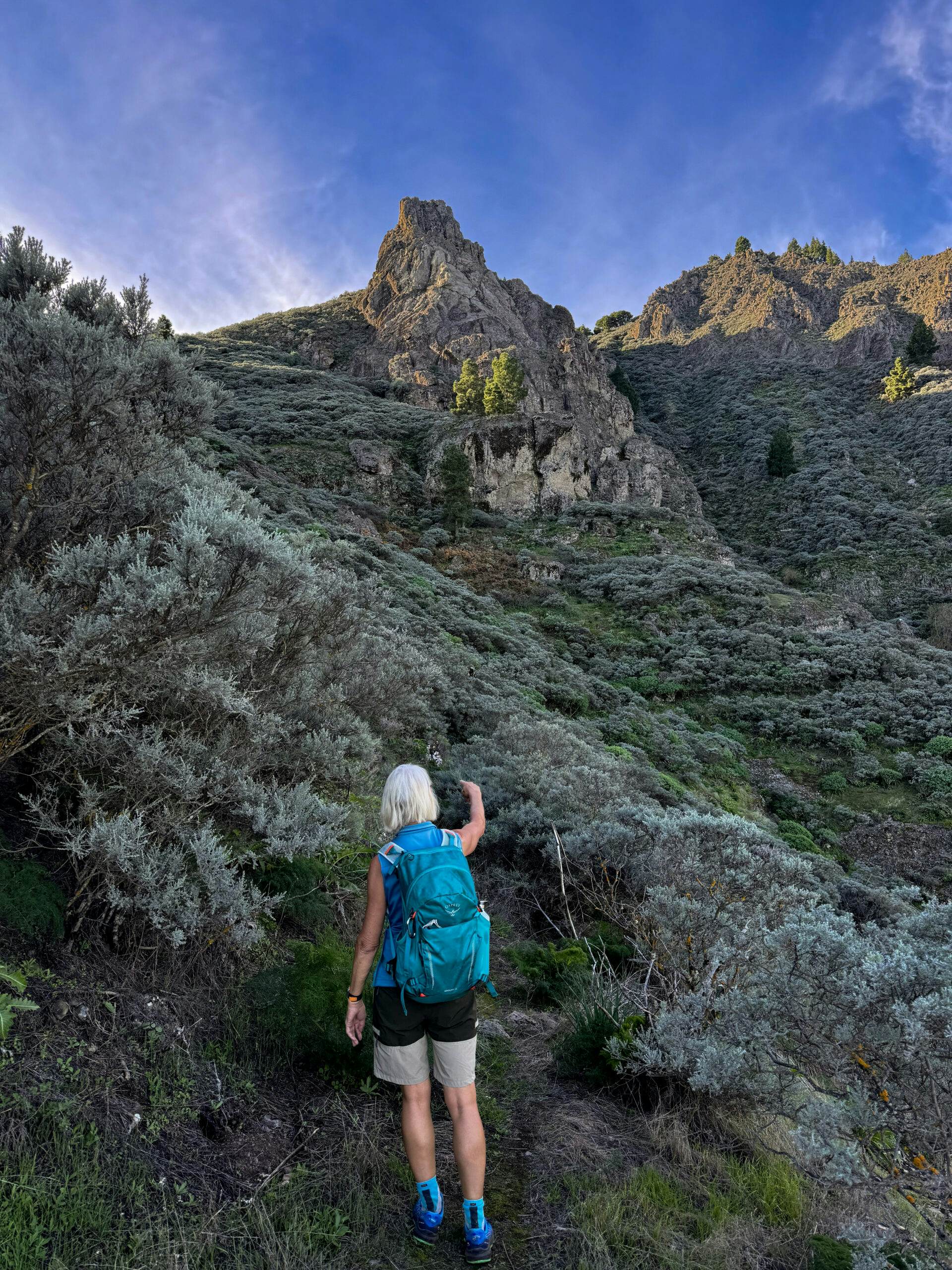 Hiking trail below Roque Saucillo