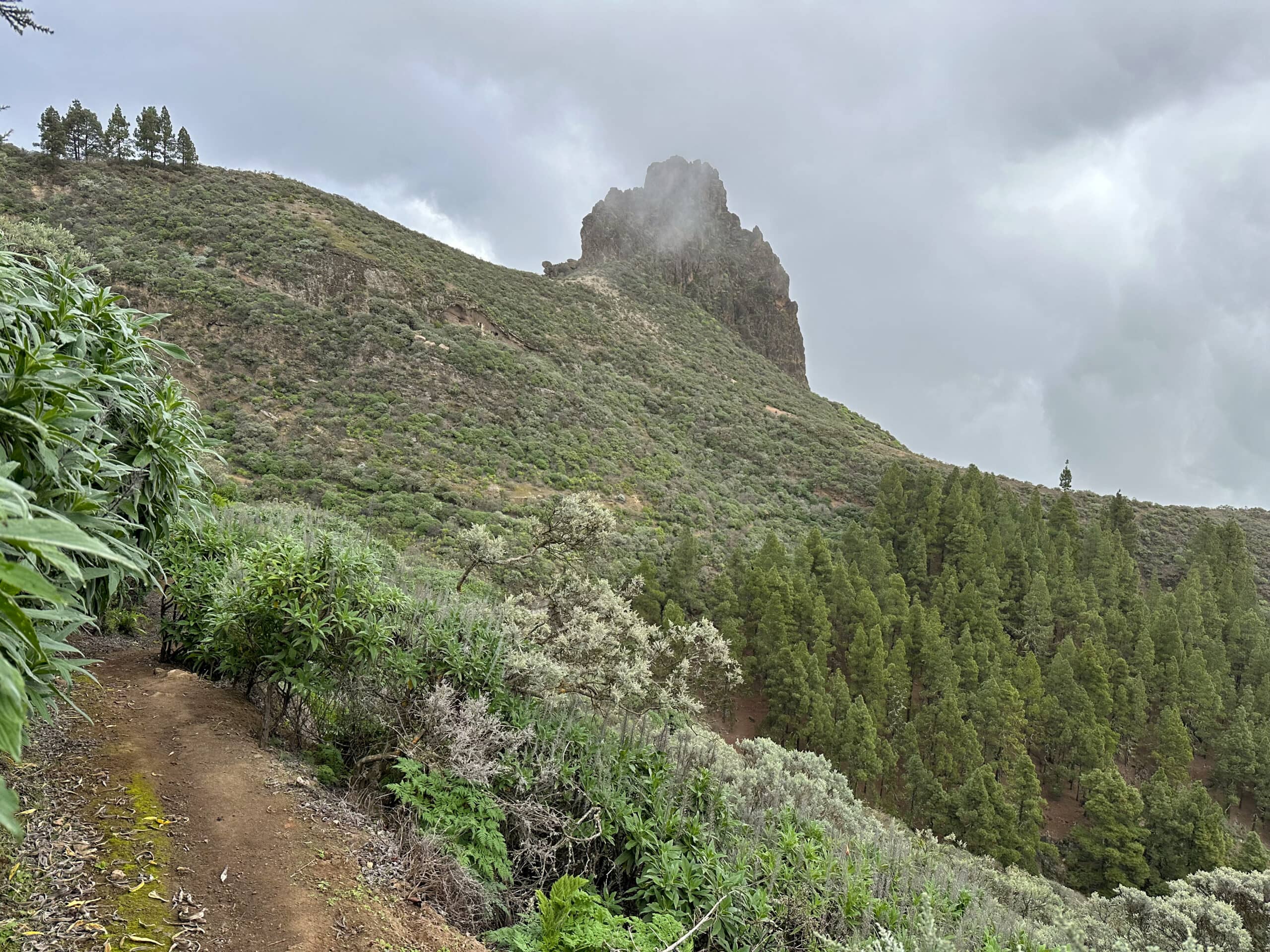 Hiking trail back below the Roque Grande (1554 metres altitude)