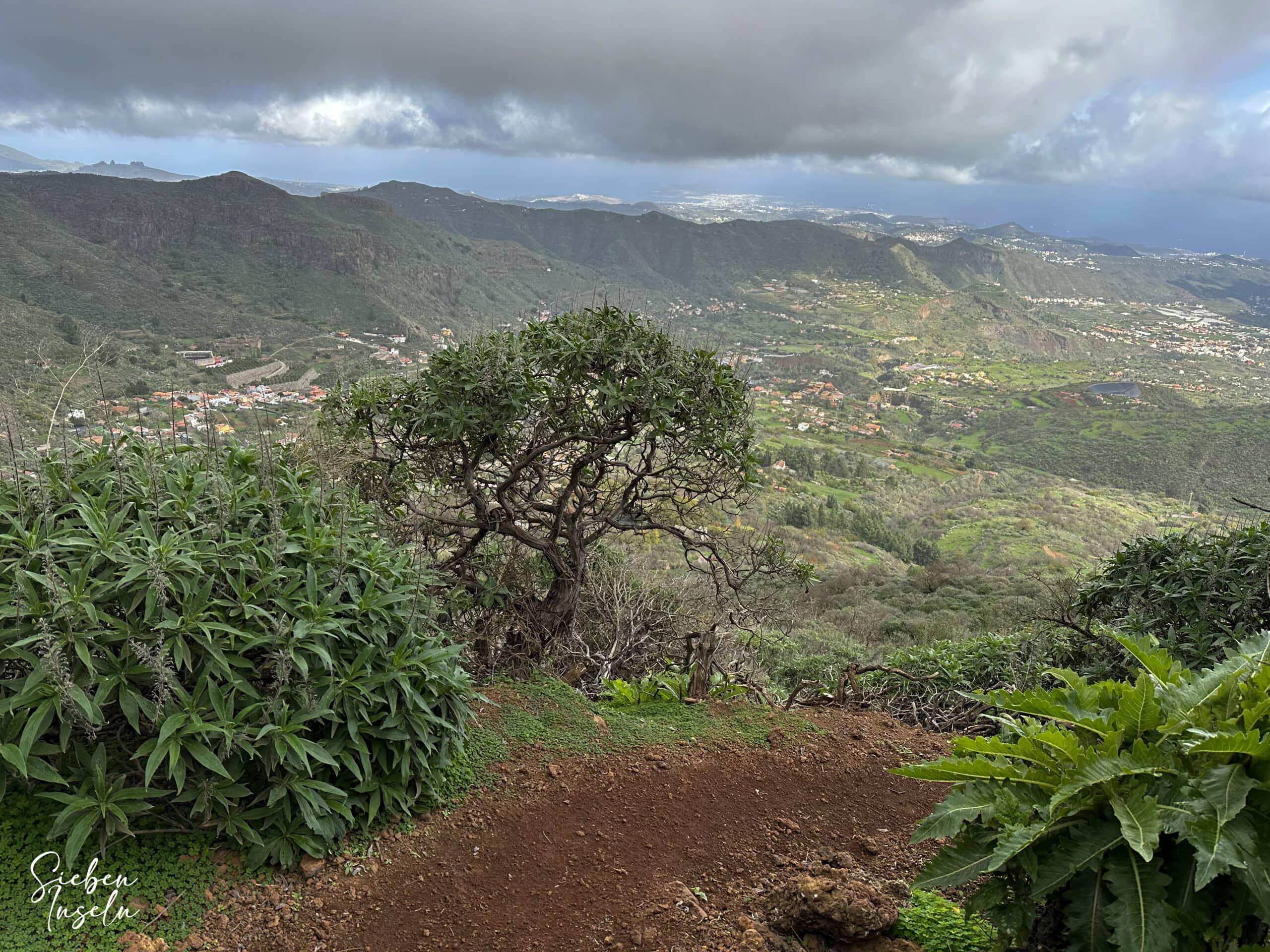 View from the ascent path to the Caldera de Los Marteles back to Tenteniguada