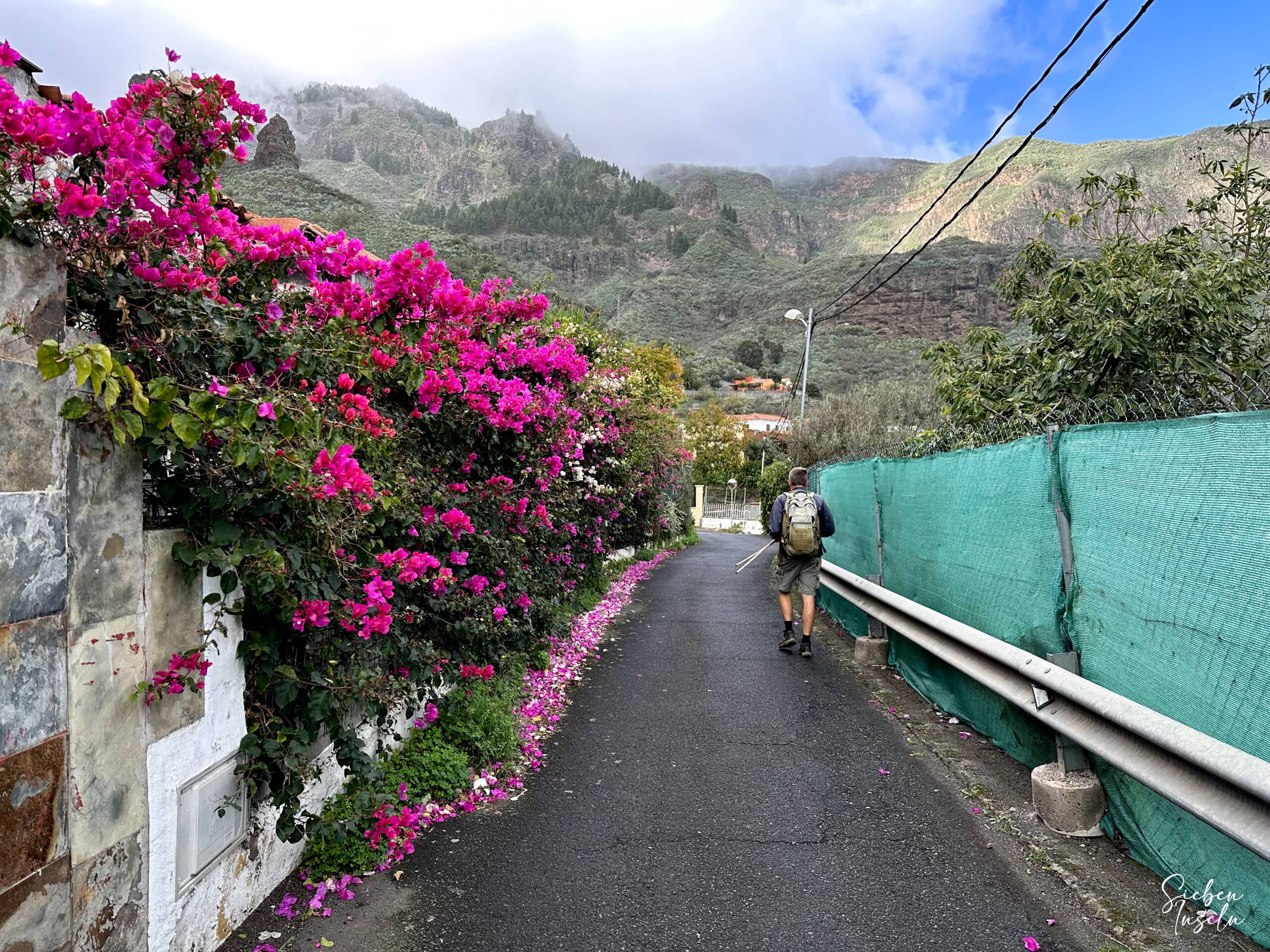 Hiking trail back in the upper part of Tenteniguada