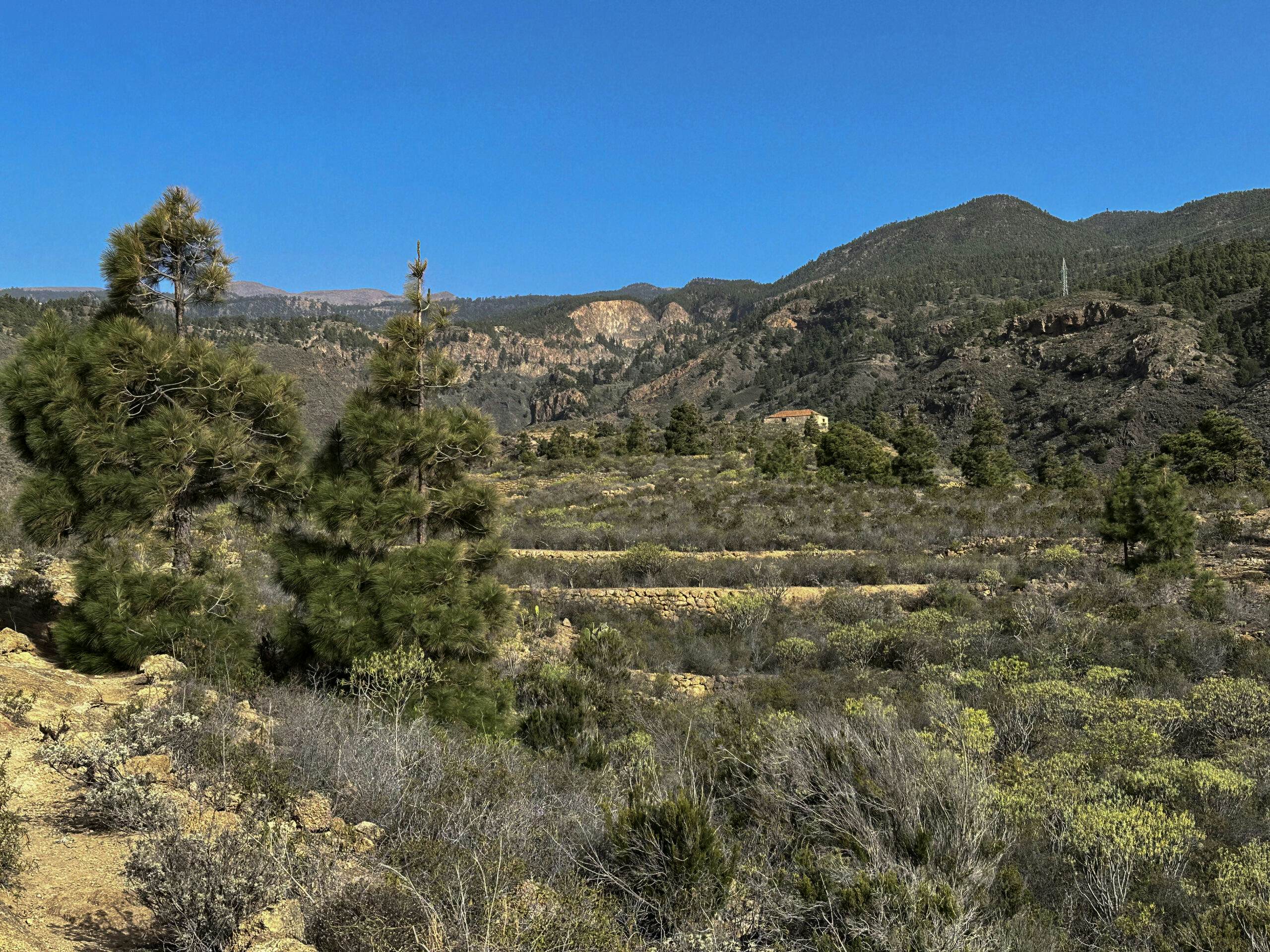 Hiking trail past old terraced fields with a view back up to the Cañadas