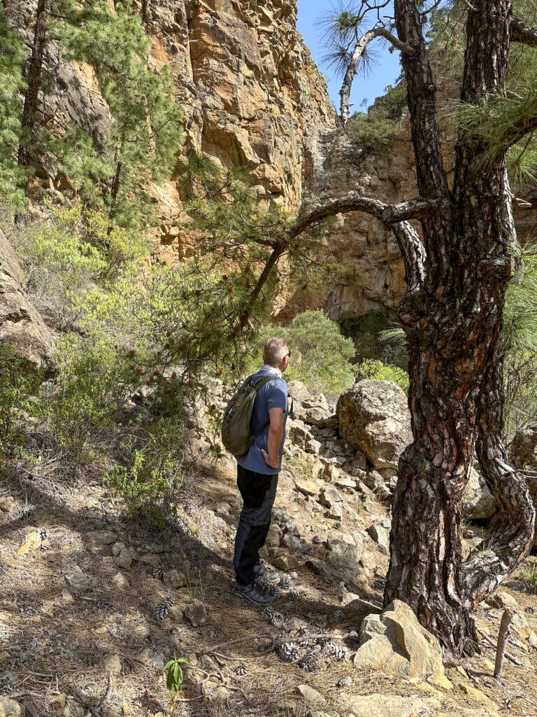 Hiker on the hiking trail above the Barranco el Seco