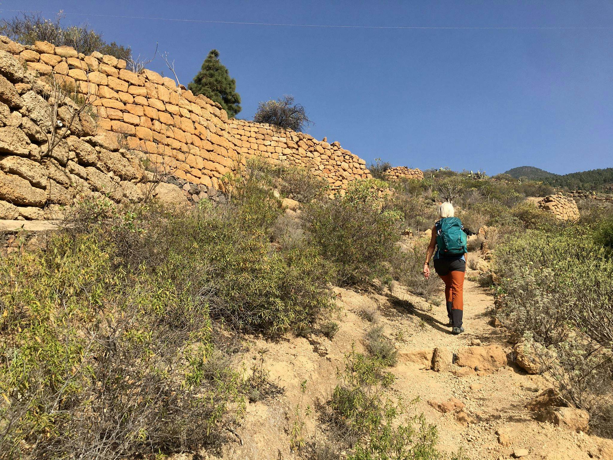 Hiking along old walls above Arico Viejo