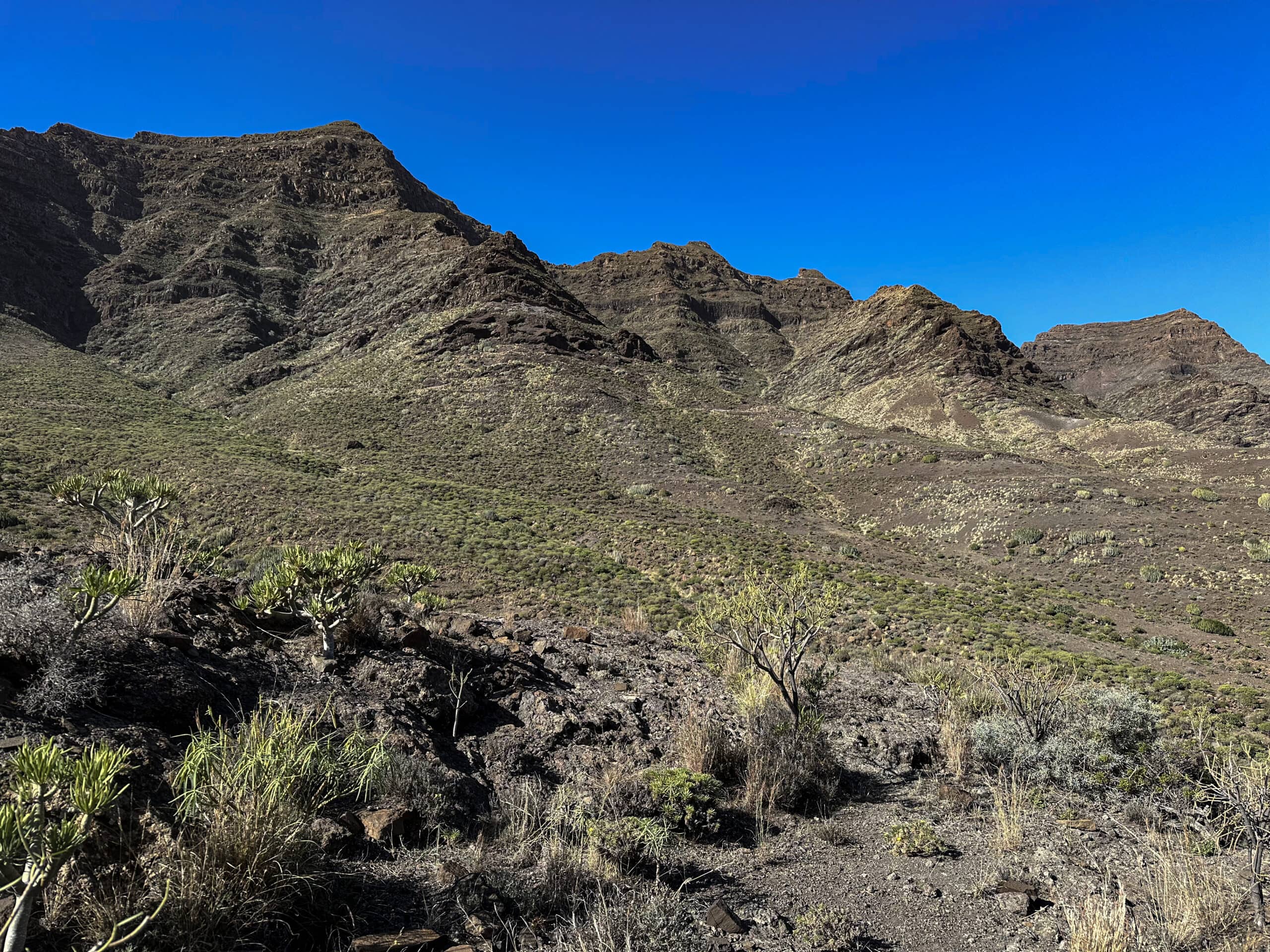 View from the hiking trail to the heights above the Degollada de Tasartico