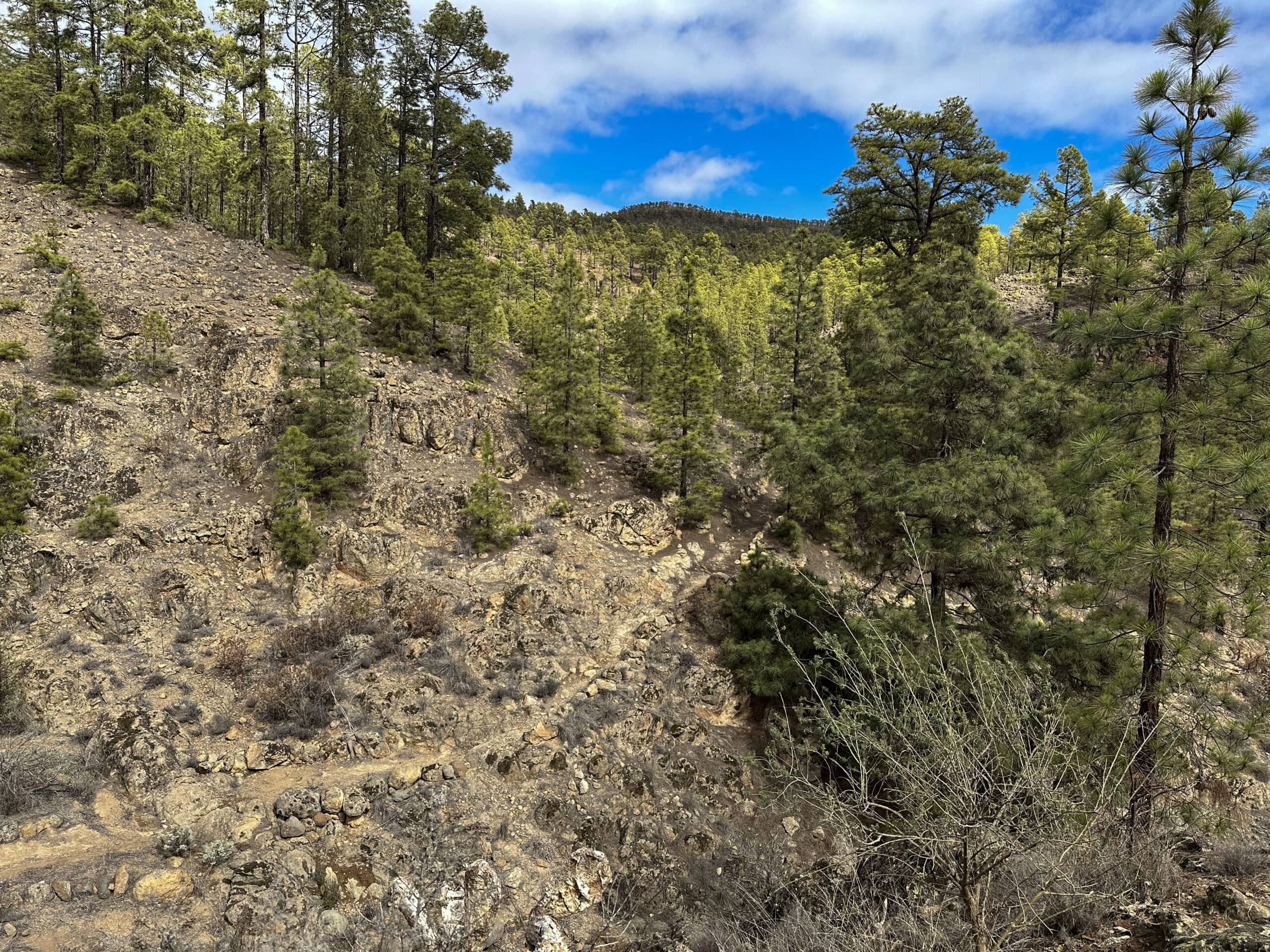 Hiking trail below El Contador
