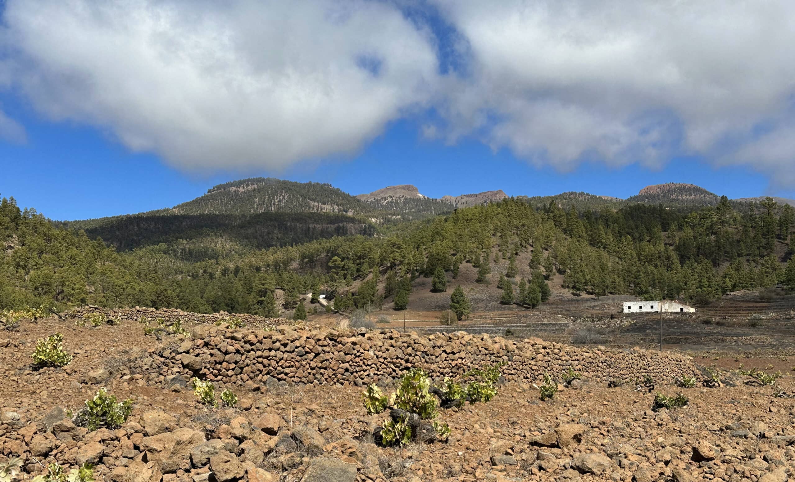 Blick vom Wanderweg bei Trevejos auf die Cañadas