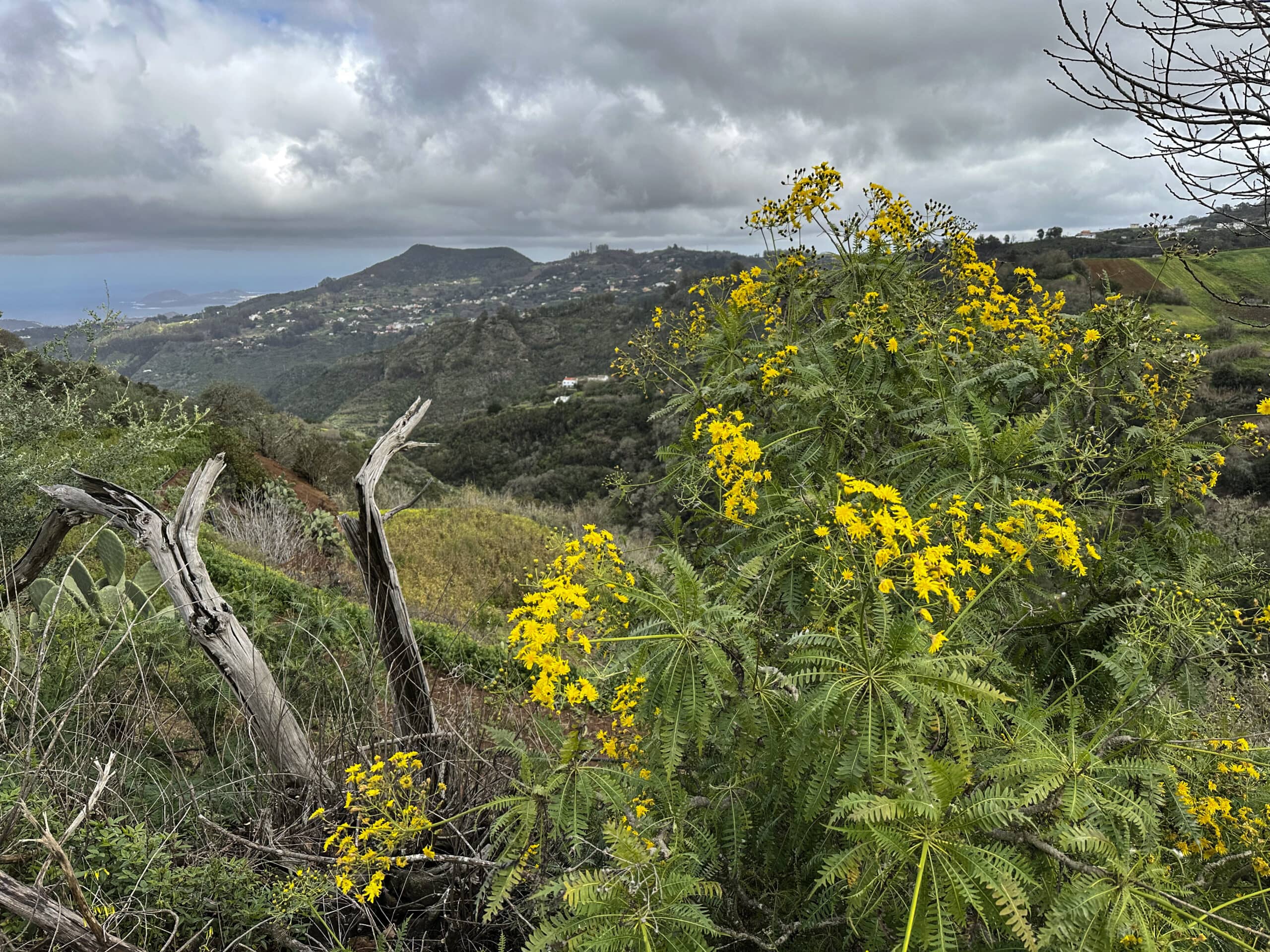 Senderismo a través de pequeñas aldeas canarias con maravillosas vistas - en el camino de vuelta a Fontanales
