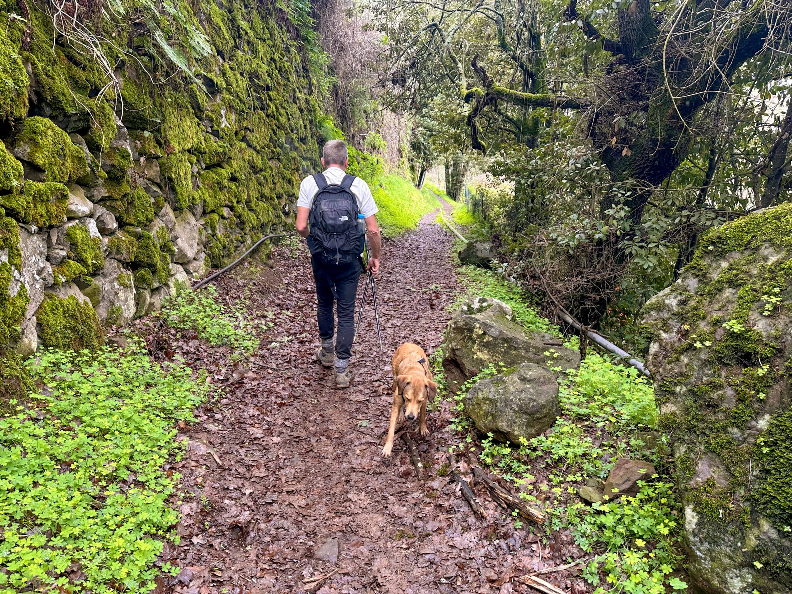 Sendero de bajada hacia Fontanales
