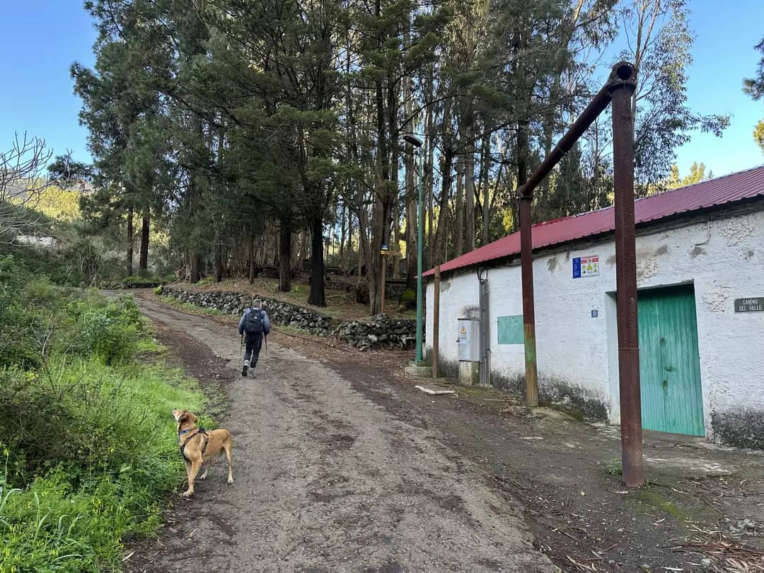 Ruta de senderismo Desvío en Fontanales, junto al campo deportivo, en dirección a Artenara. Para la ruta de senderismo hacia Valsendero, se continúa recto.

